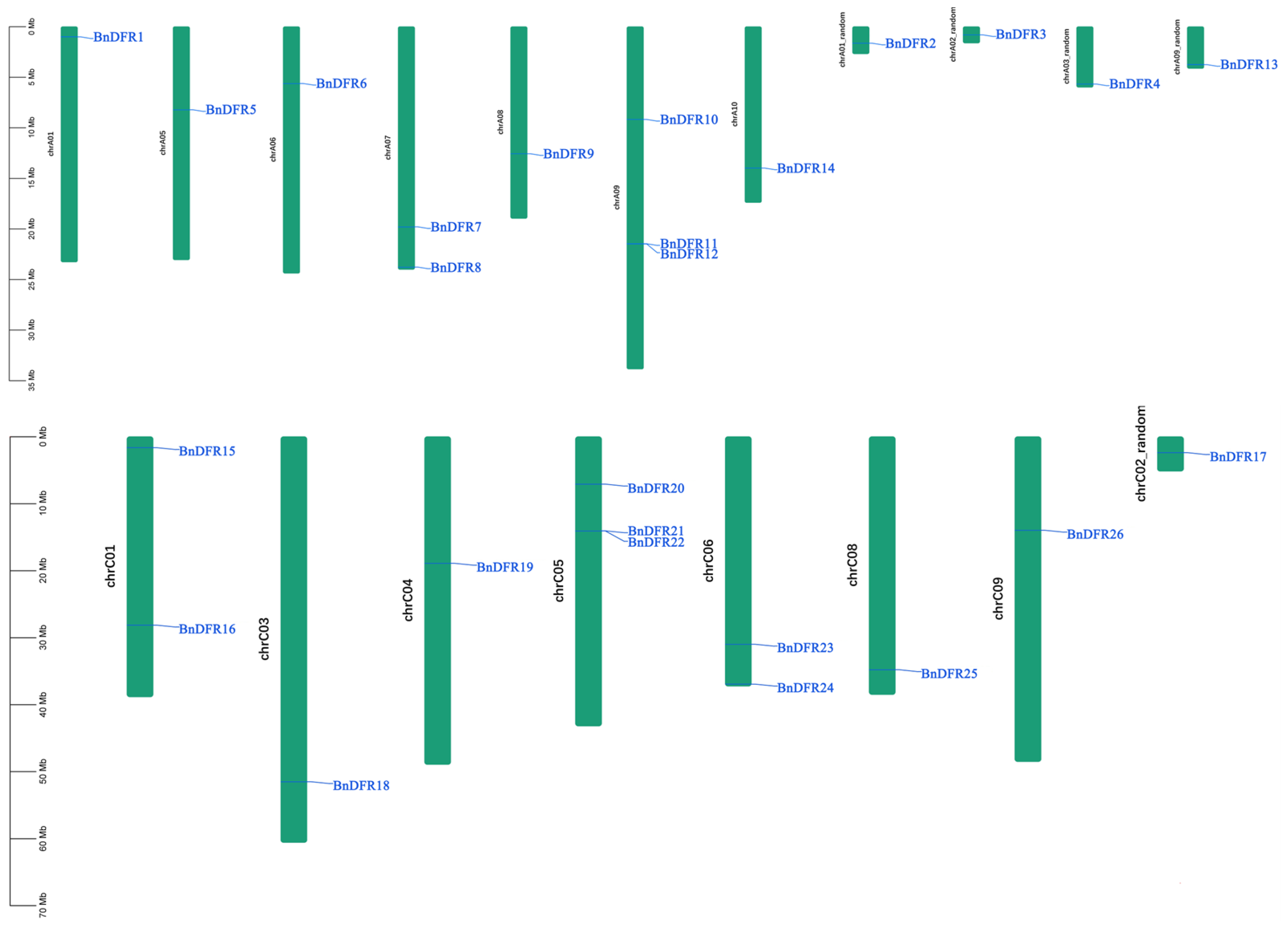 Plants 12 02583 g002 Plants 12 02583 g002