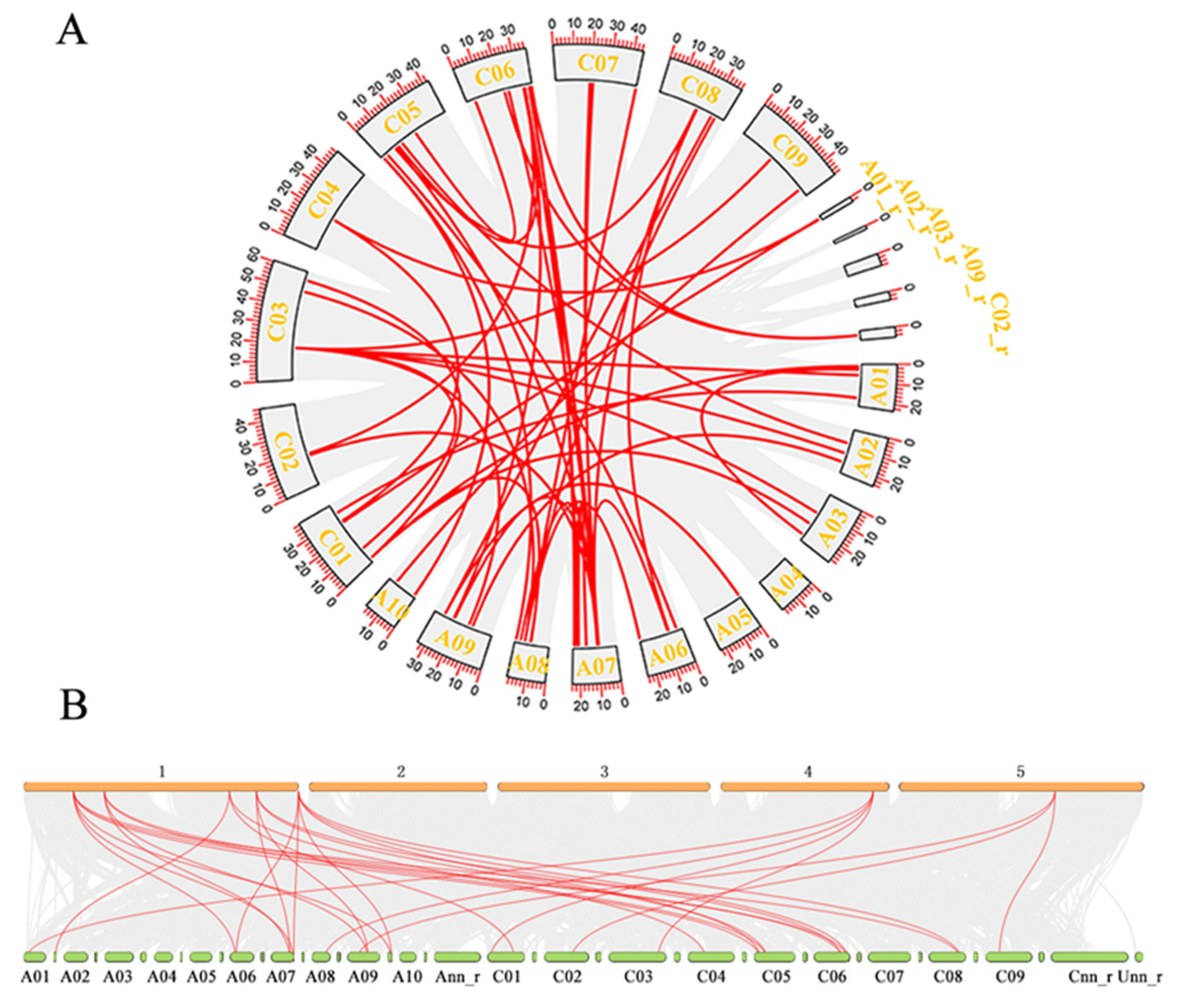 Plants 12 02583 g003 Plants 12 02583 g003
