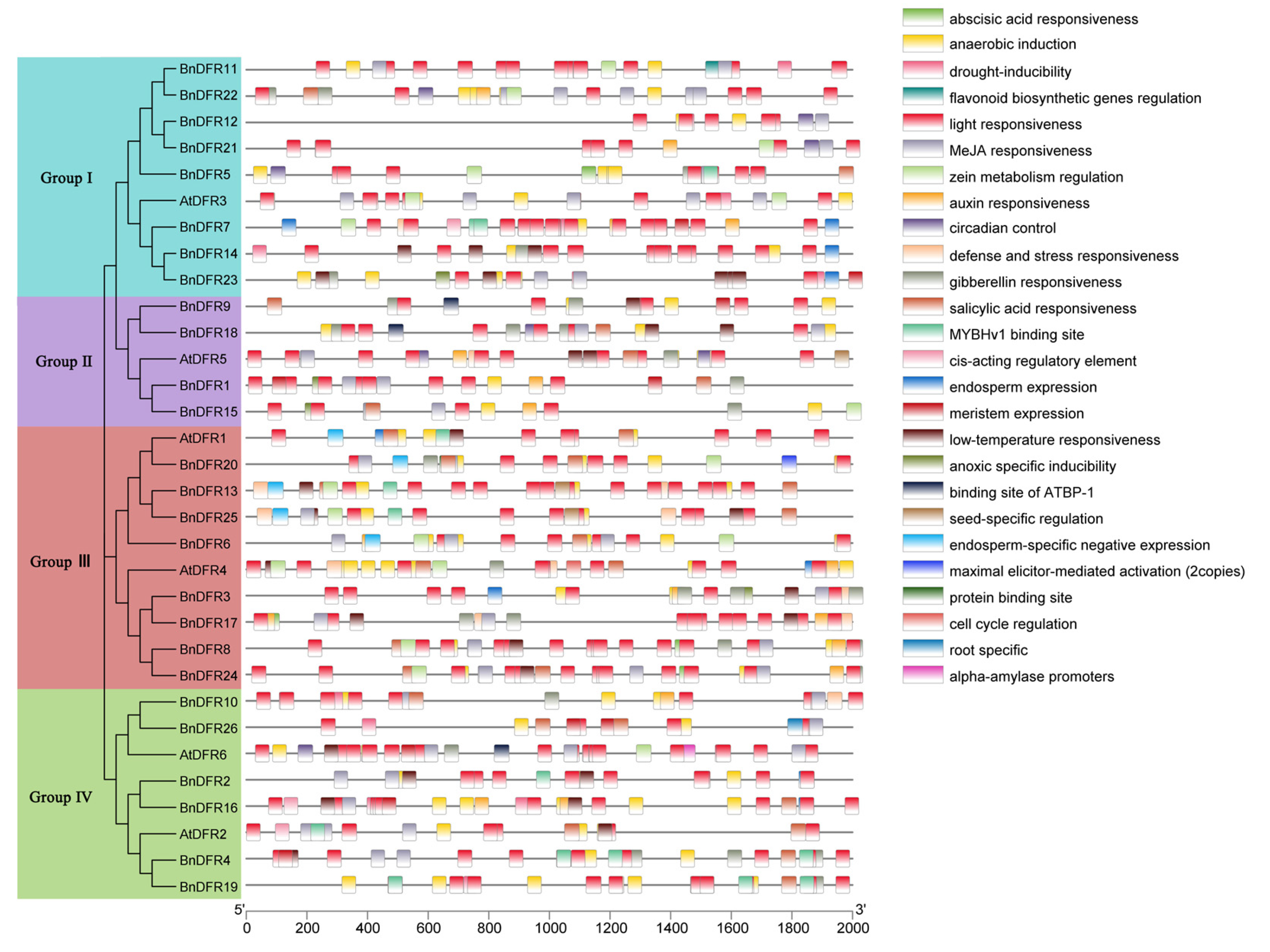 Plants 12 02583 g007 Plants 12 02583 g007