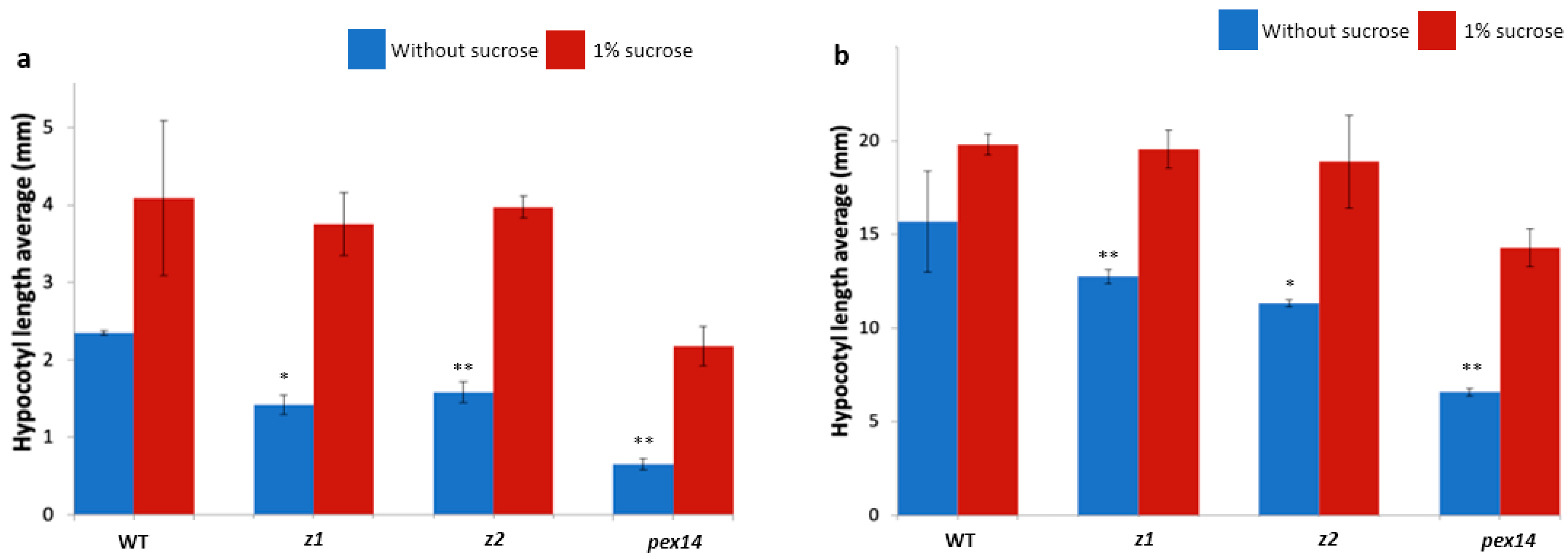 Plants 12 02586 g001