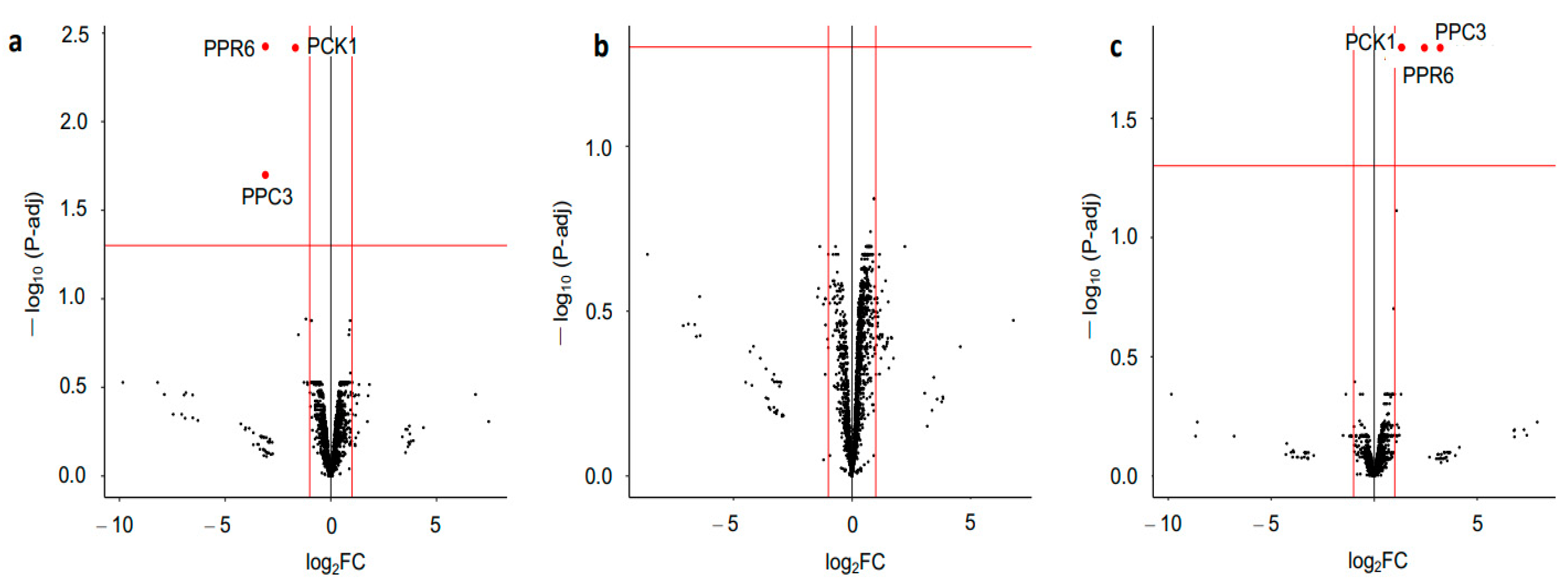 Plants 12 02586 g004