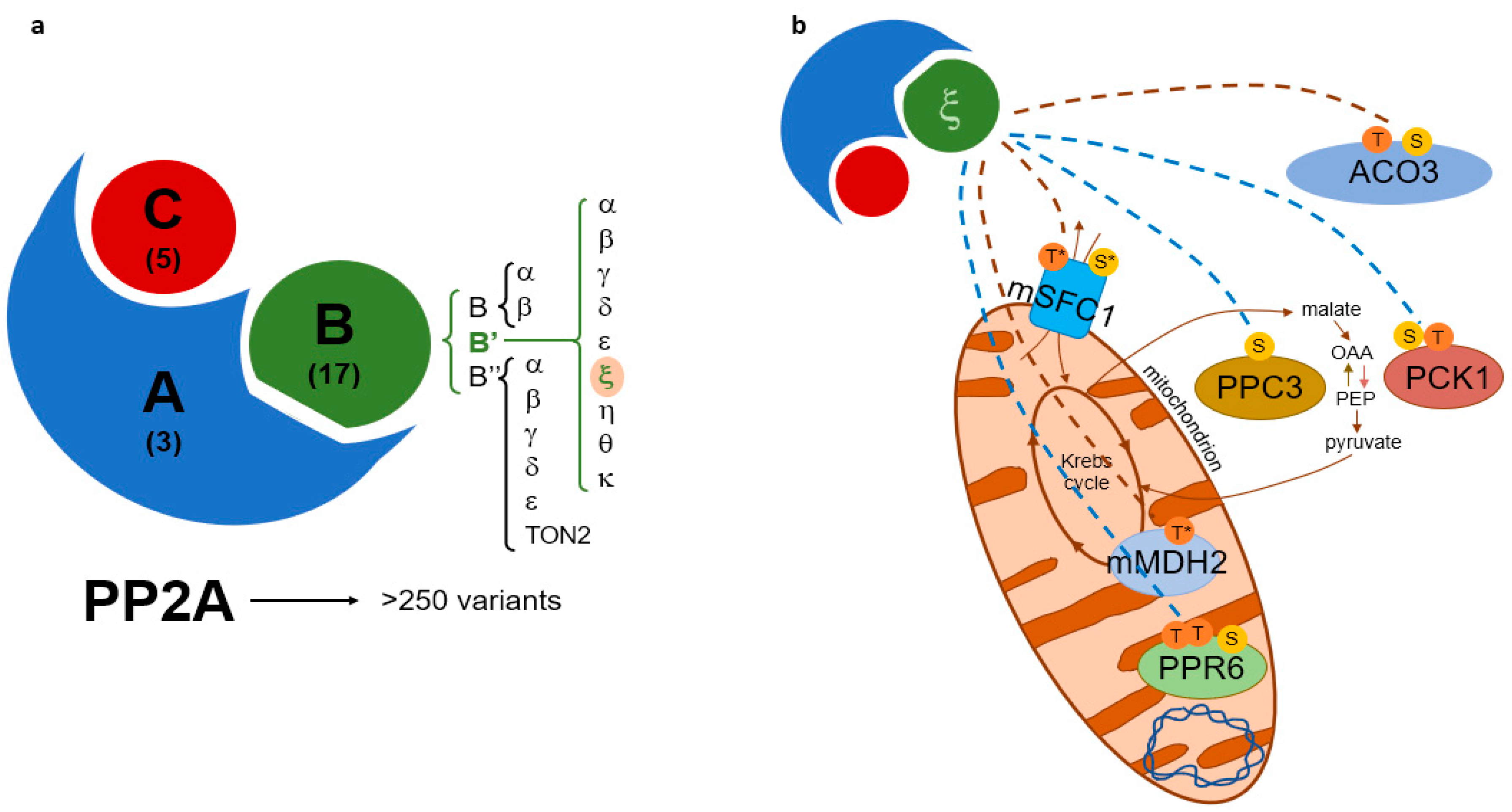 Plants 12 02586 g005