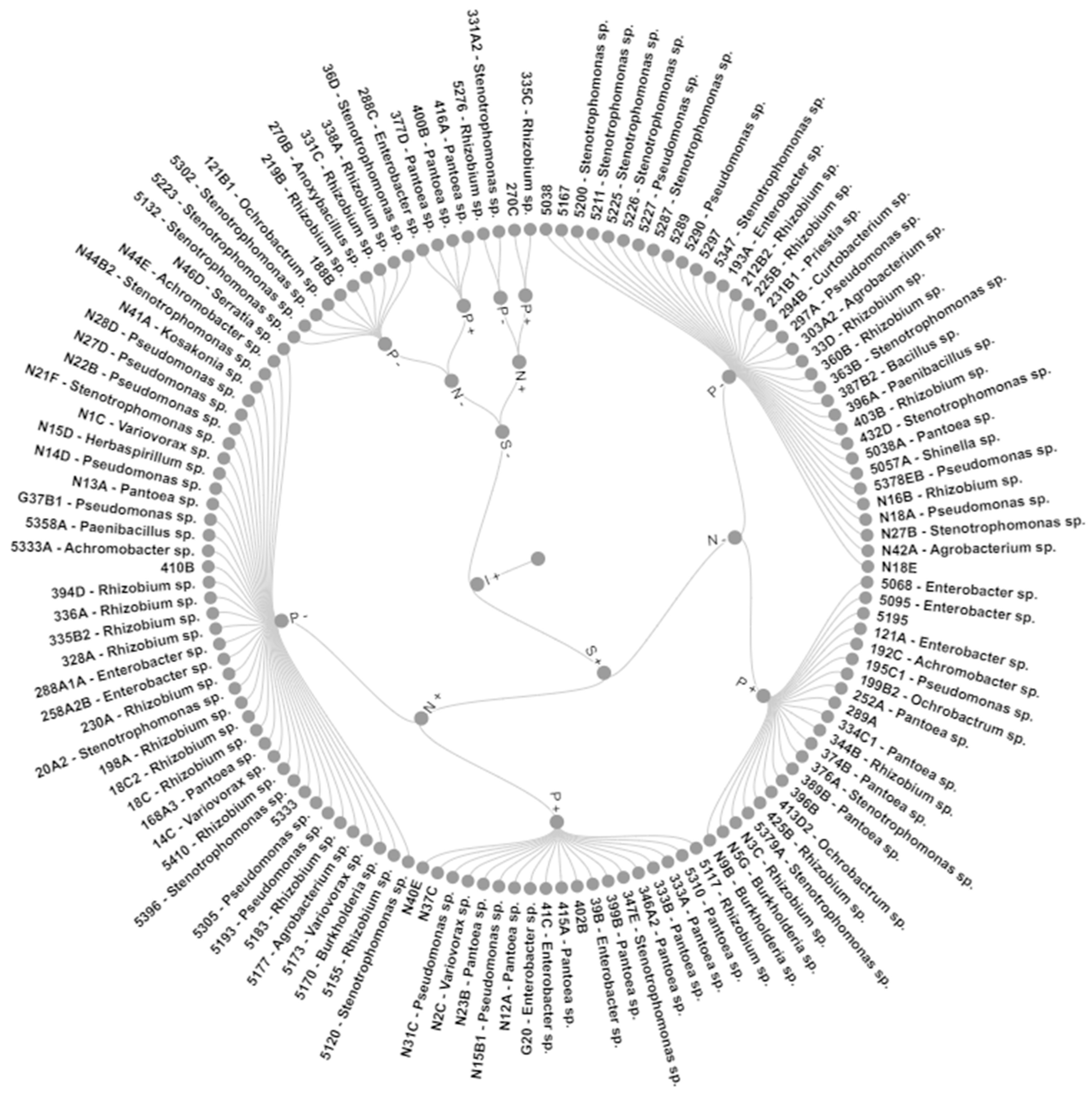 Plants 12 02589 g002