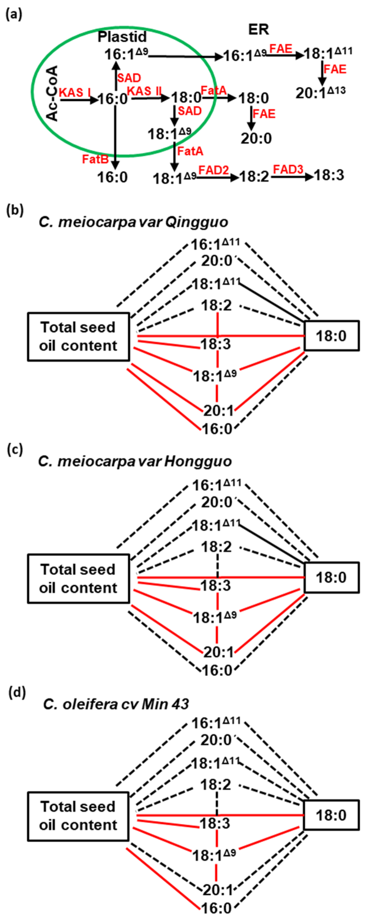 Plants 12 02591 g005 Plants 12 02591 g005