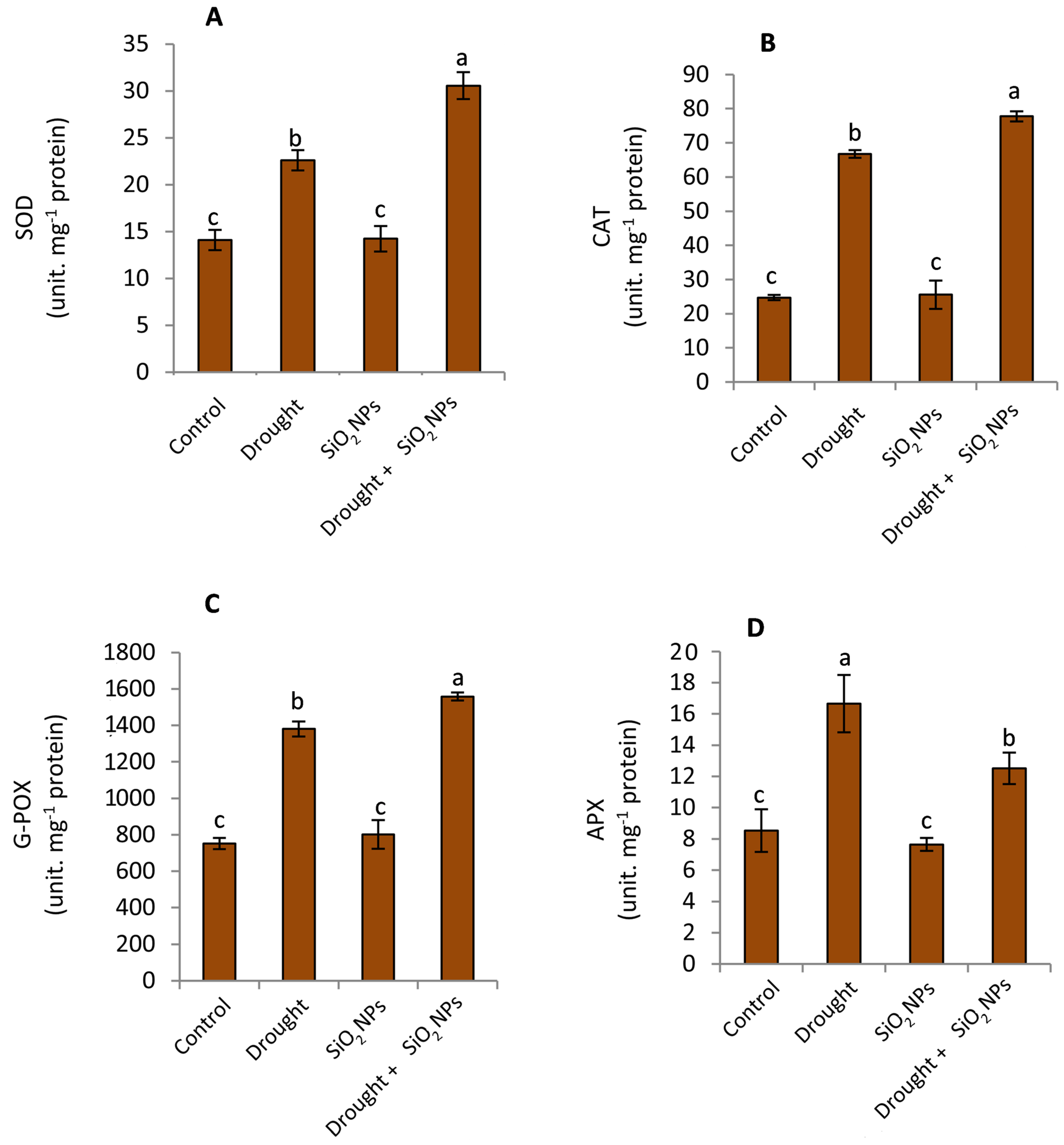 Plants 12 02592 g007 Plants 12 02592 g007