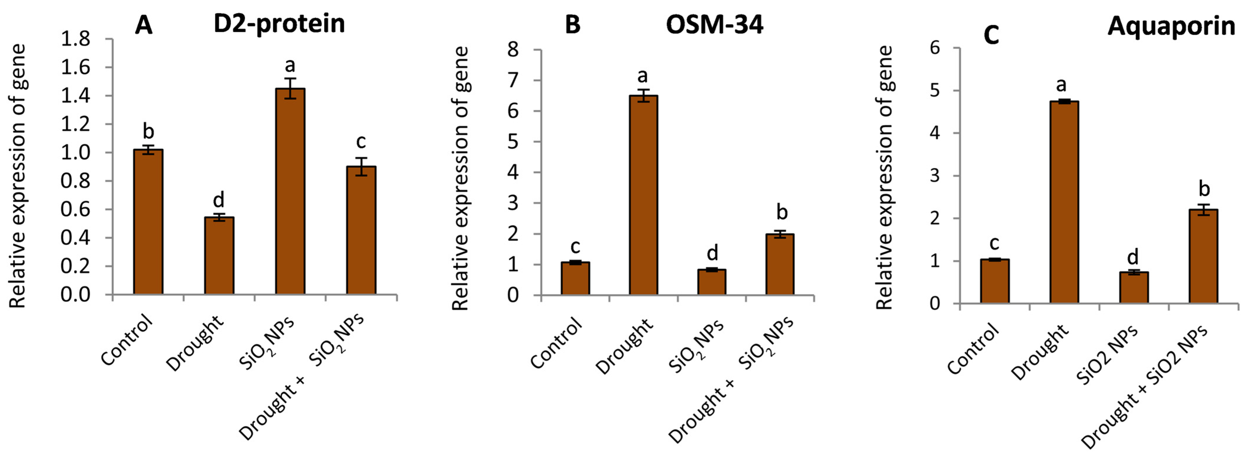 Plants 12 02592 g008 Plants 12 02592 g008