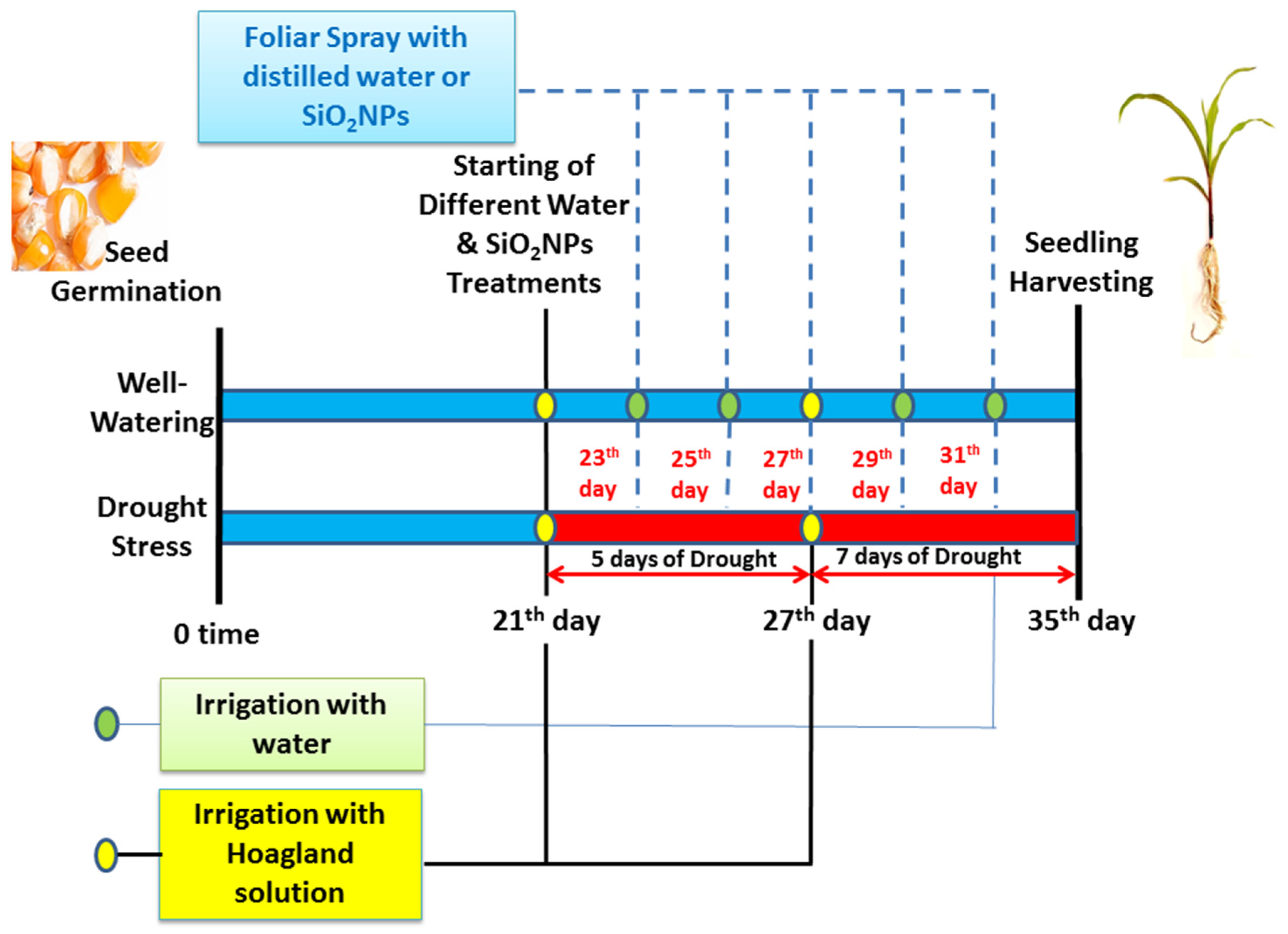 Plants 12 02592 g009 Plants 12 02592 g009