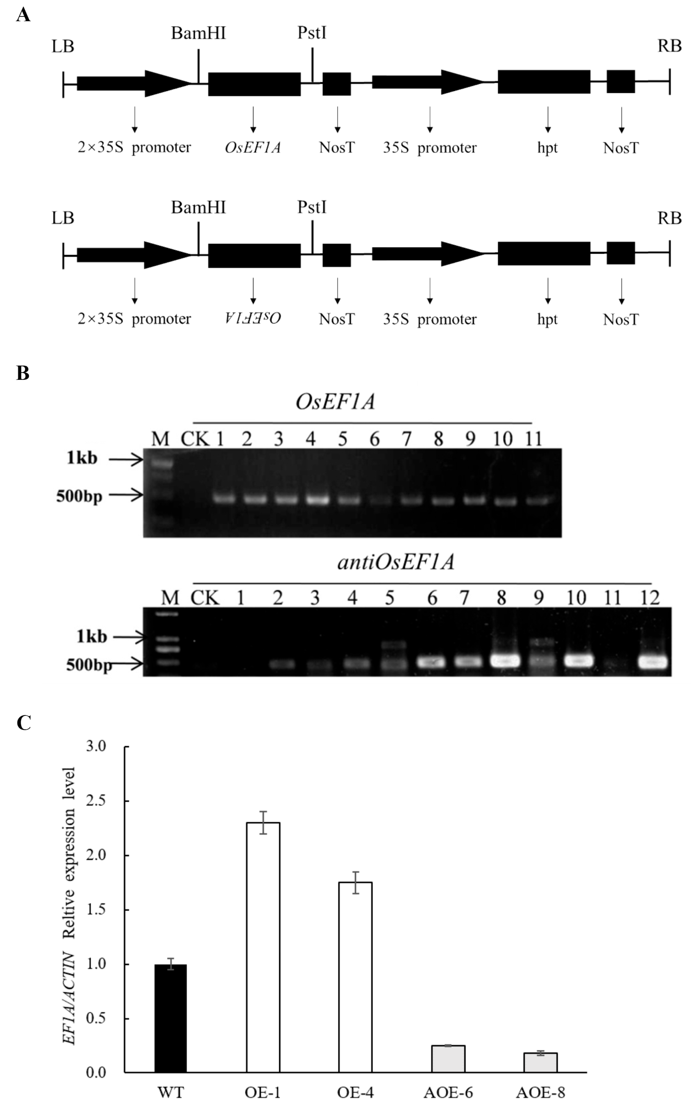 Plants 12 02593 g003 Plants 12 02593 g003