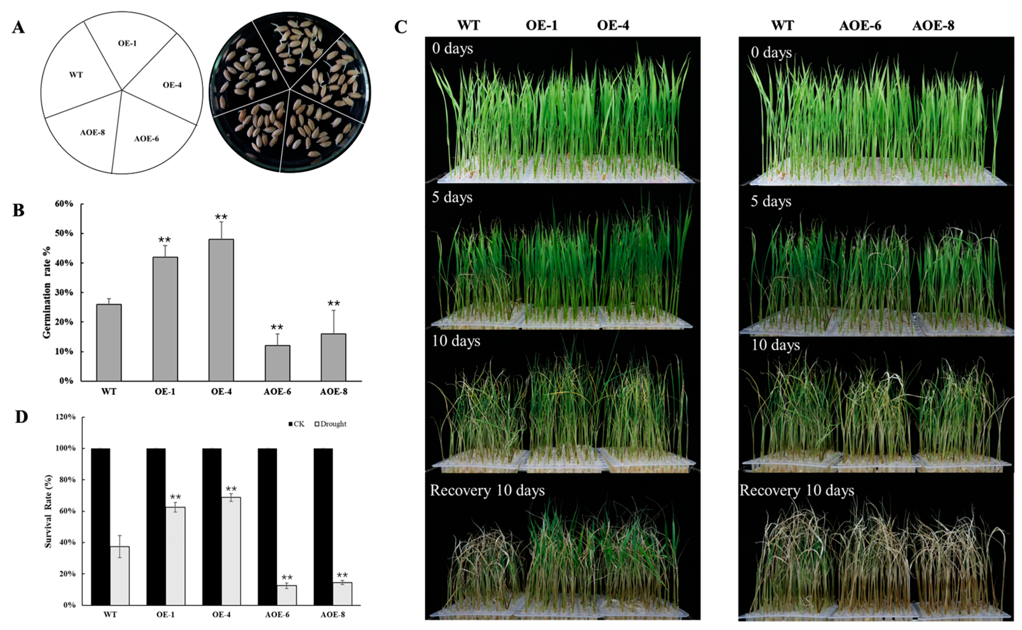 Plants 12 02593 g005 Plants 12 02593 g005
