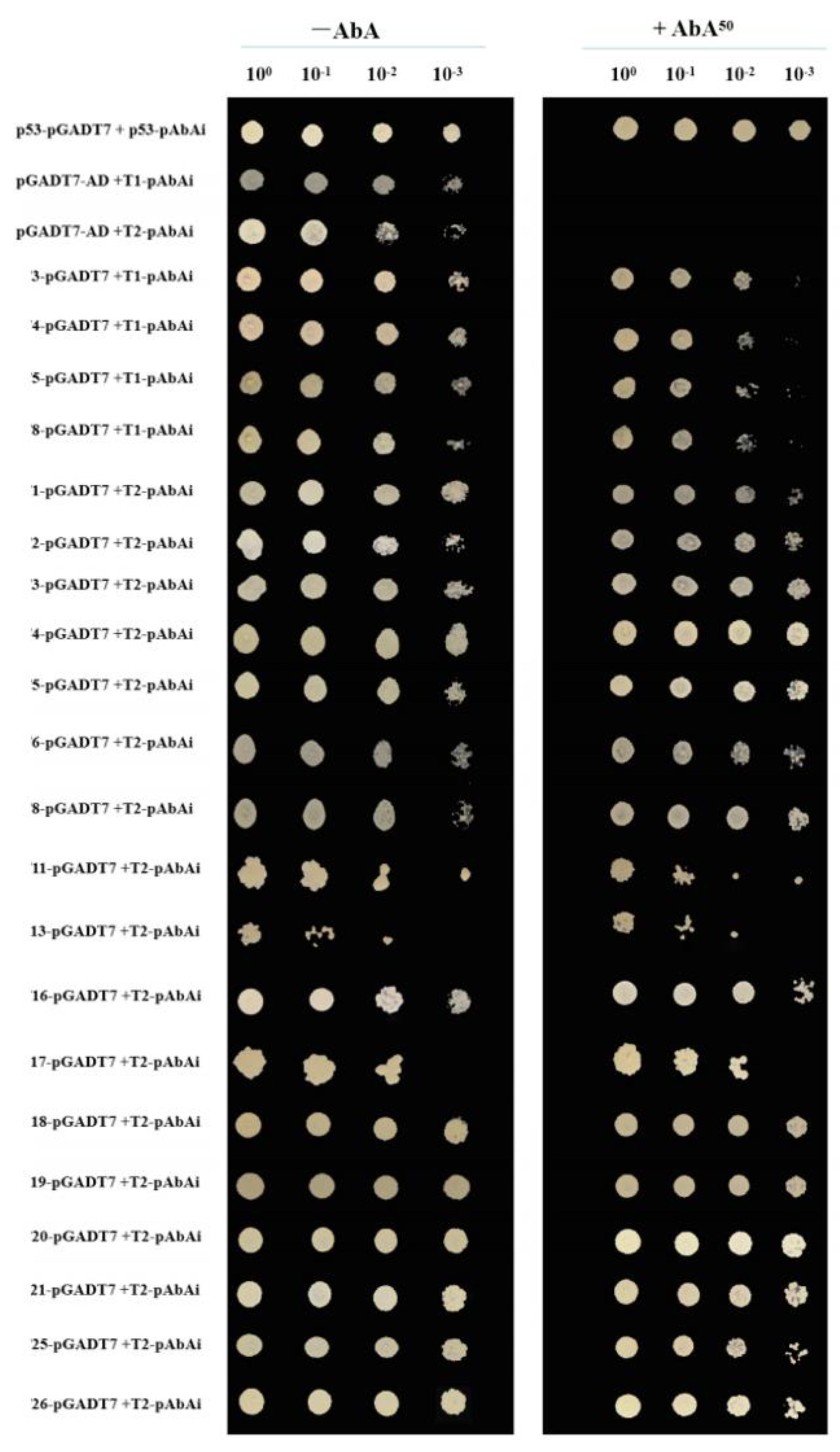 Plants 12 02595 g005 Plants 12 02595 g005