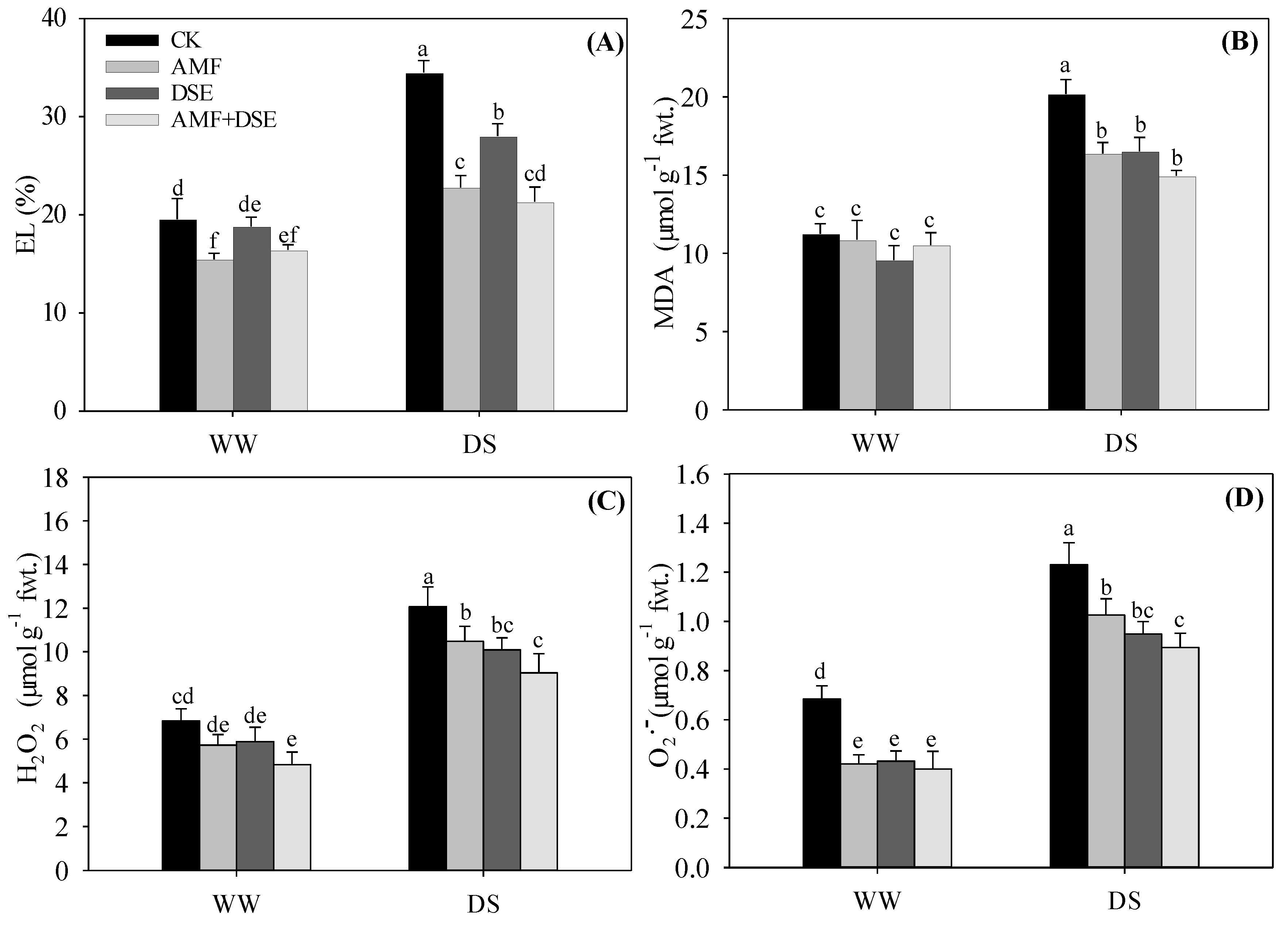 Plants 12 02596 g002 Plants 12 02596 g002