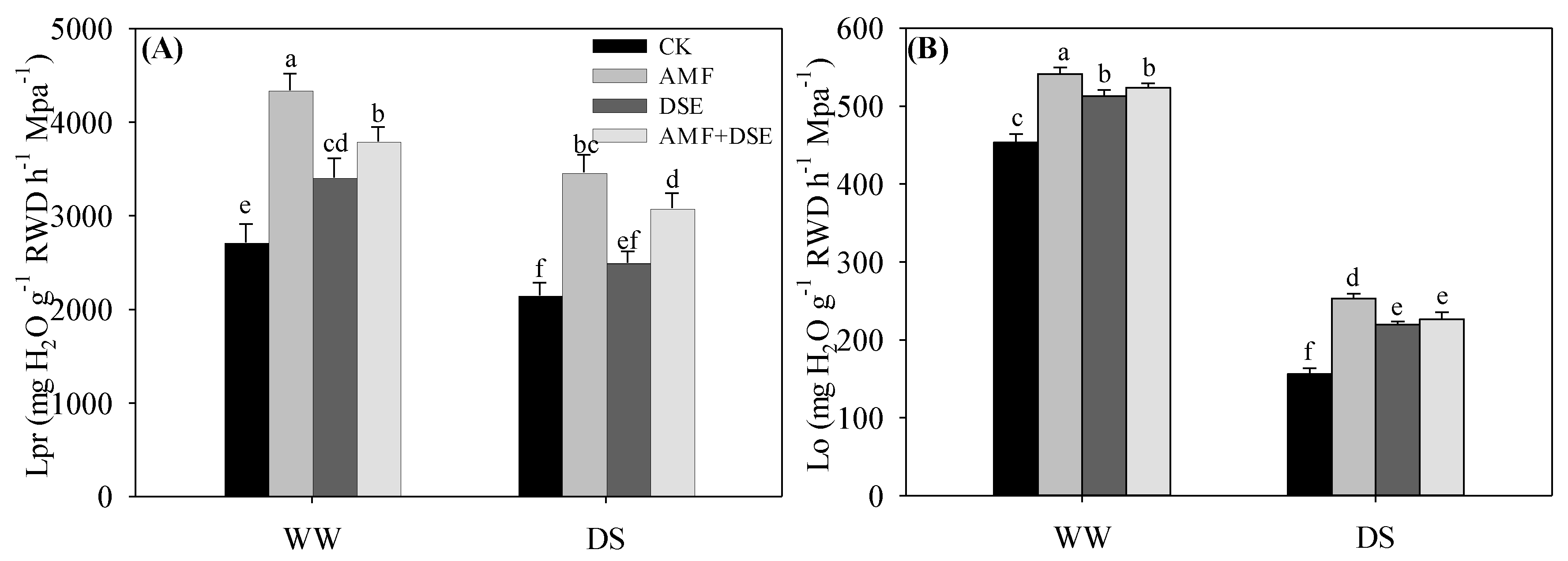 Plants 12 02596 g003 Plants 12 02596 g003