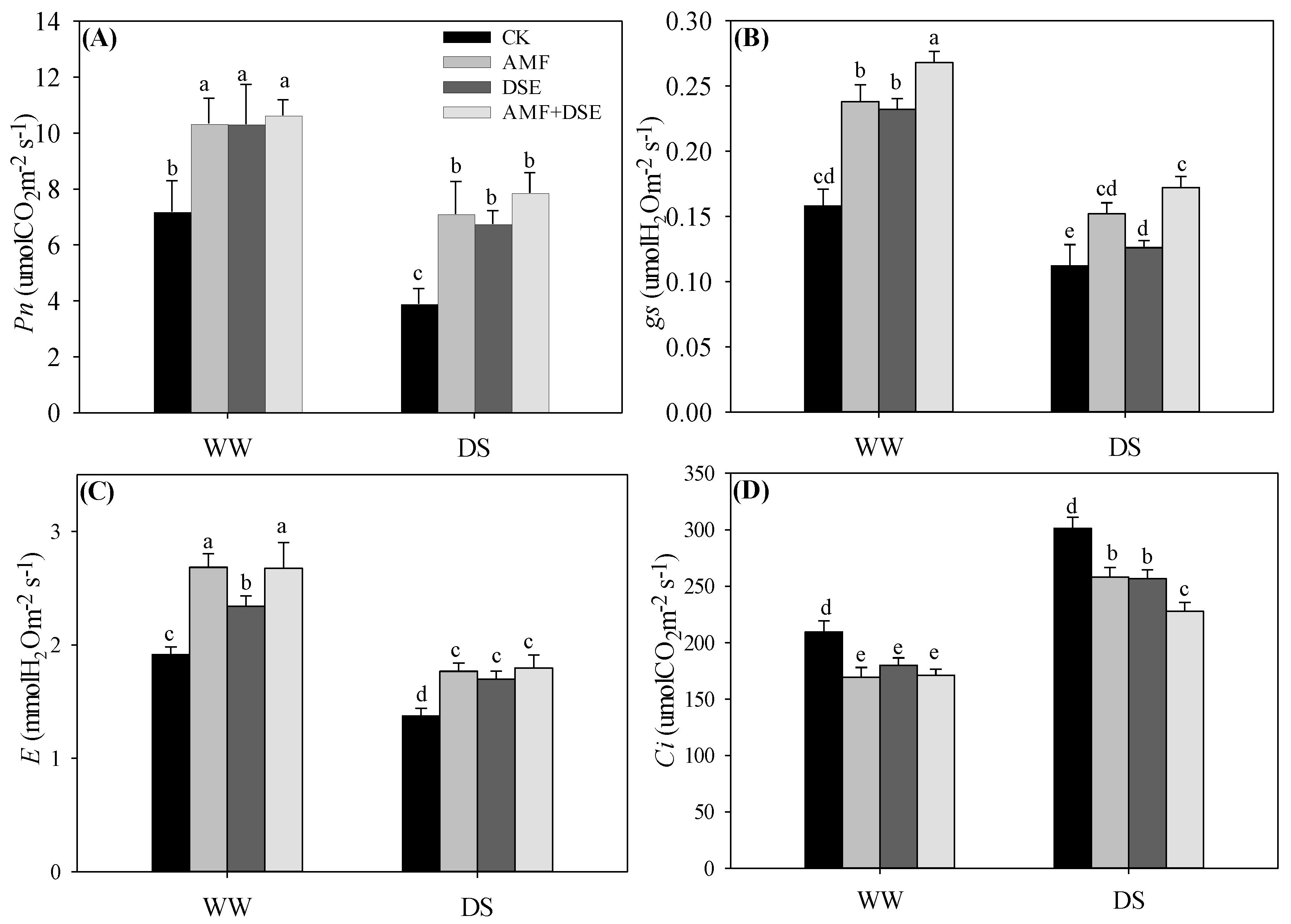 Plants 12 02596 g004 Plants 12 02596 g004