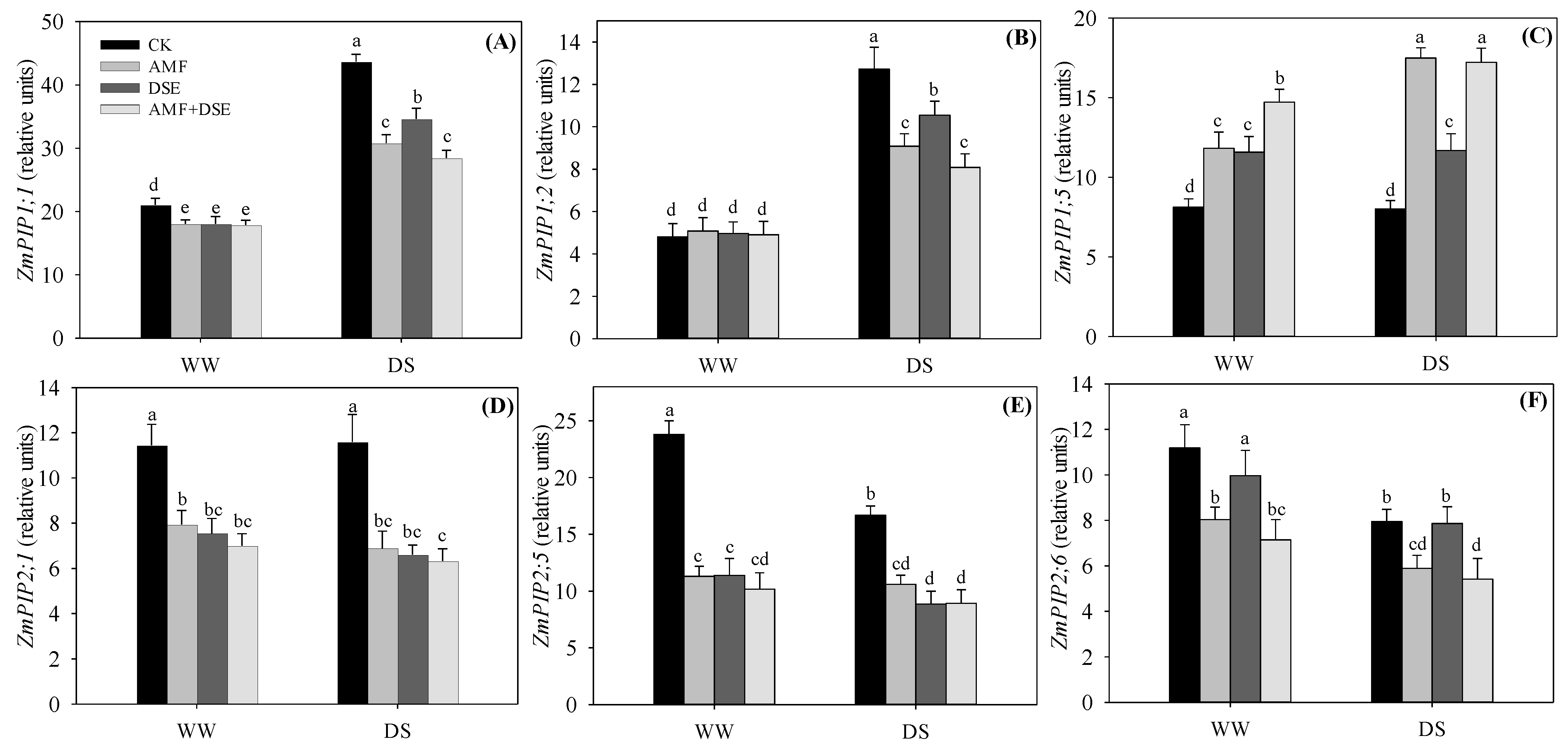 Plants 12 02596 g005 Plants 12 02596 g005