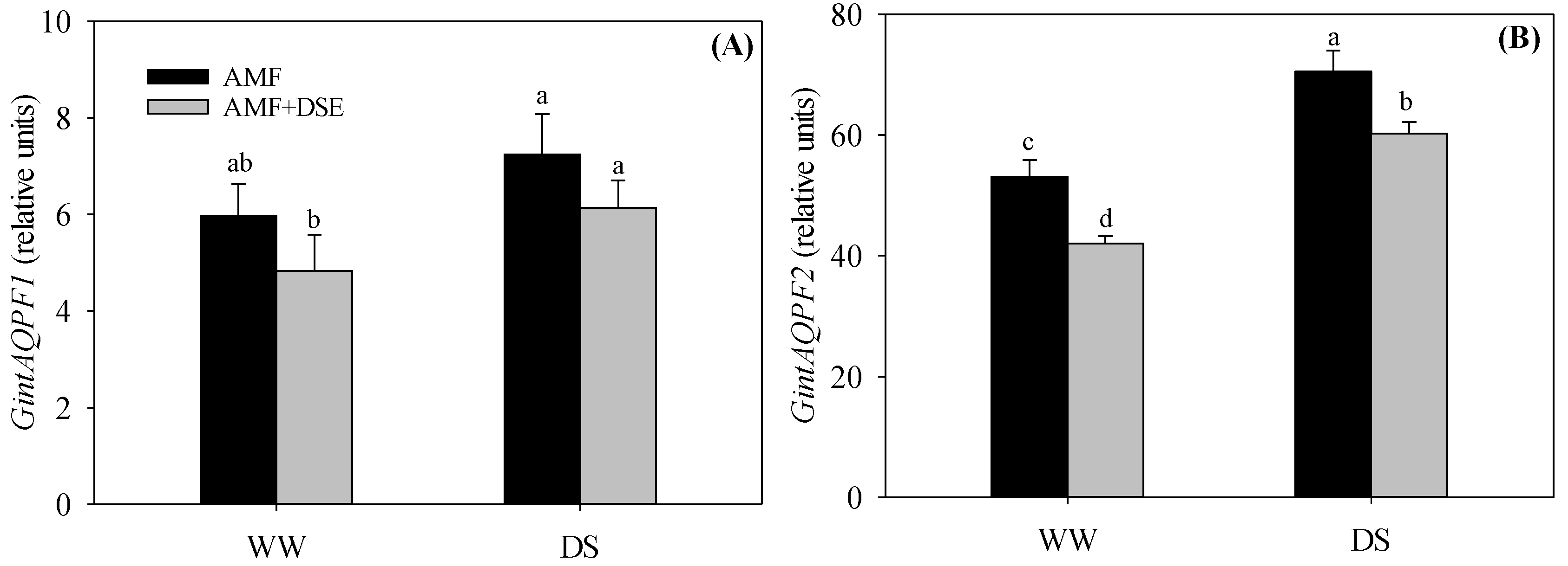 Plants 12 02596 g006 Plants 12 02596 g006