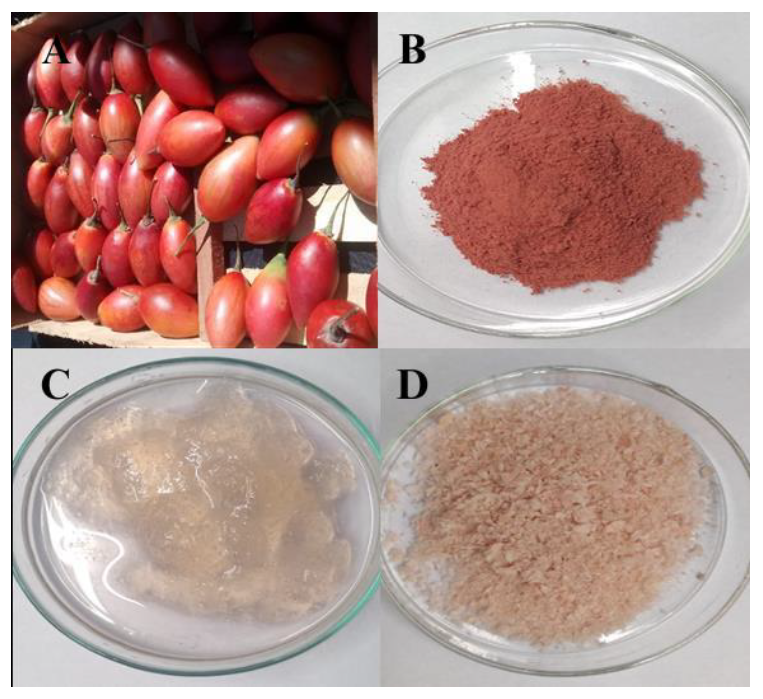 Plants 12 02603 g001 Plants 12 02603 g001