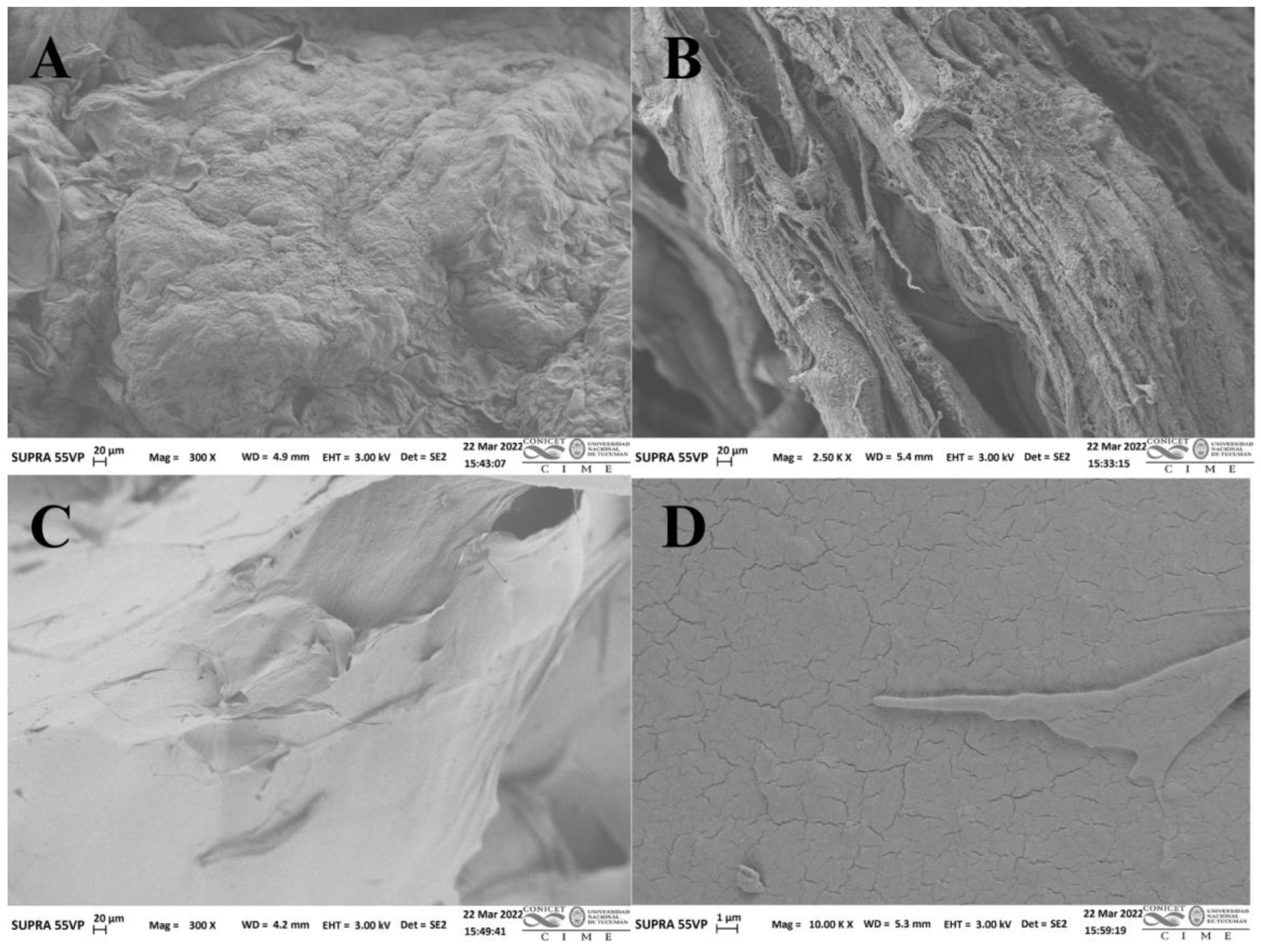 Plants 12 02603 g002 Plants 12 02603 g002