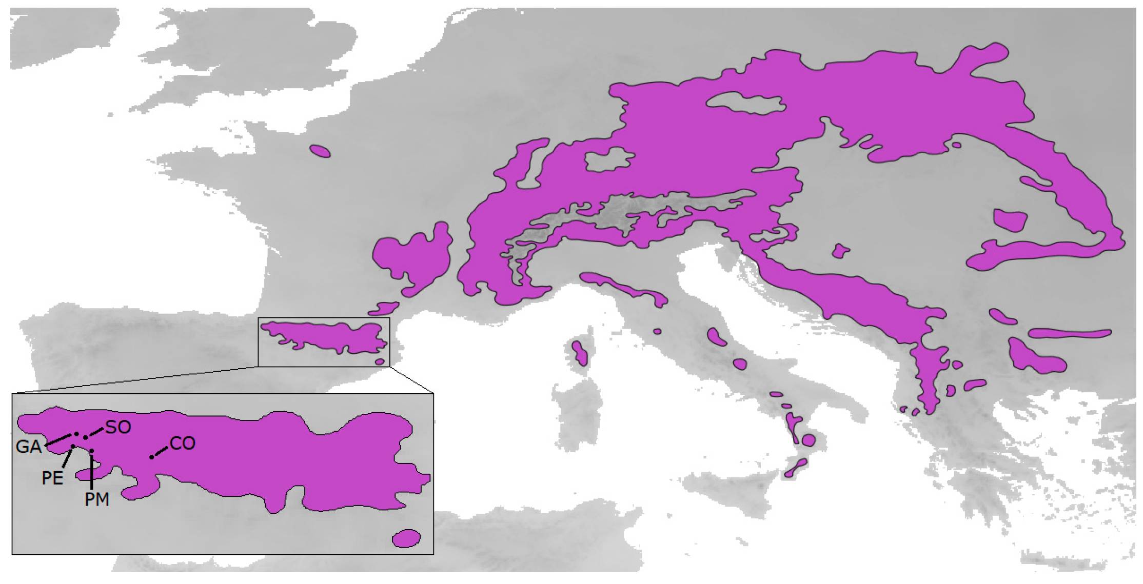 Plants 12 02607 g006 Plants 12 02607 g006