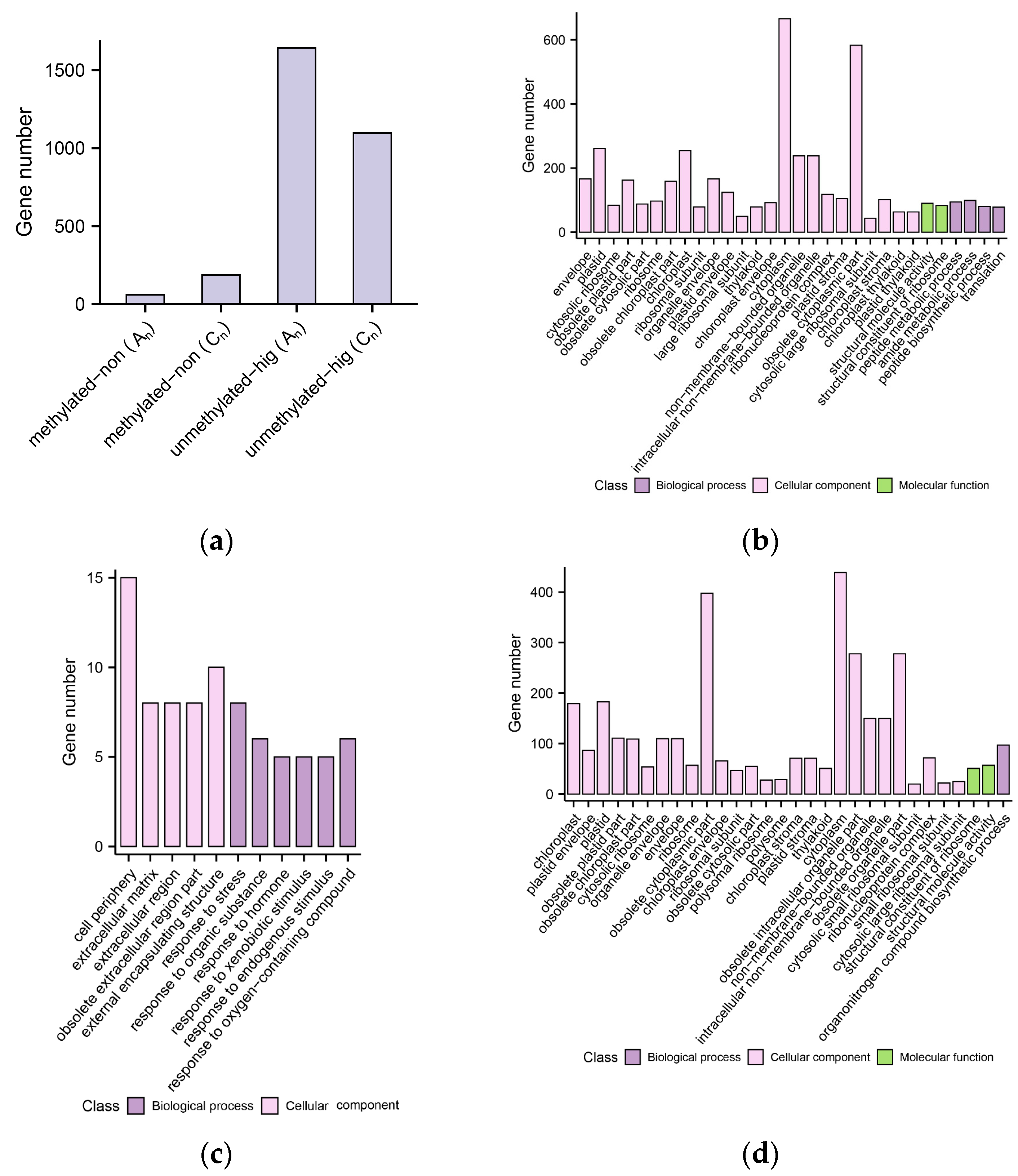 Plants 12 02608 g008 Plants 12 02608 g008