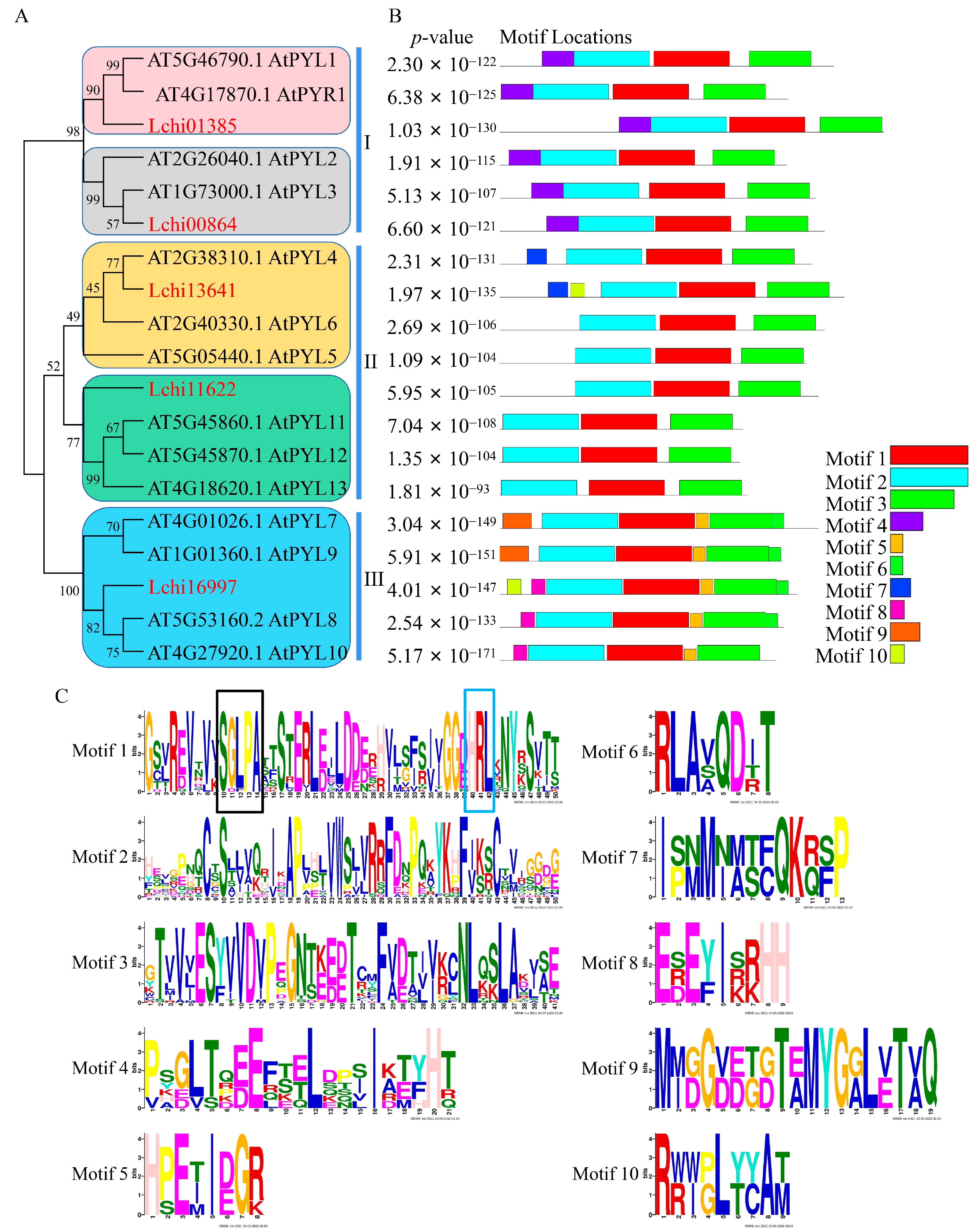 Plants 12 02609 g003