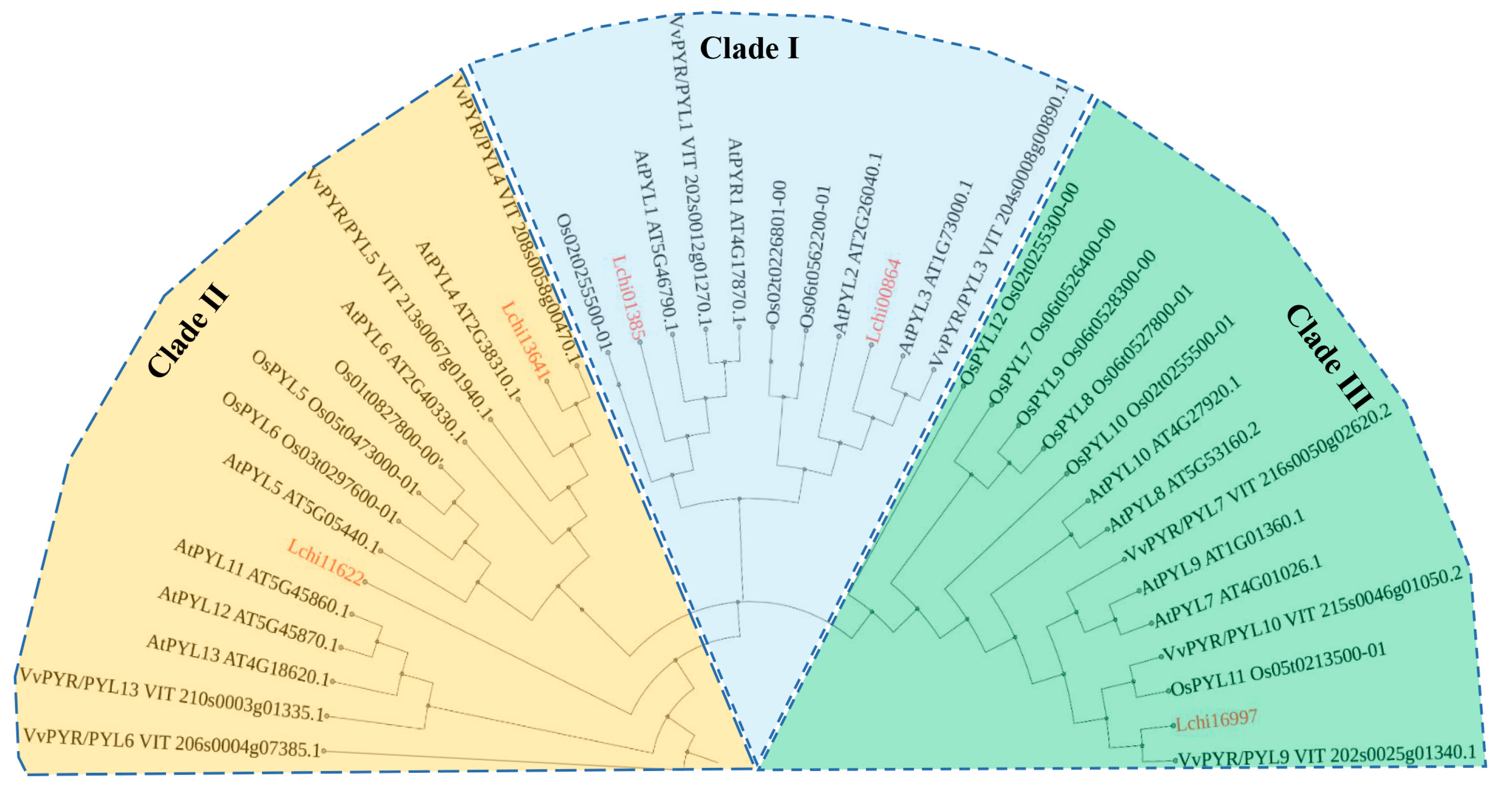 Plants 12 02609 g004
