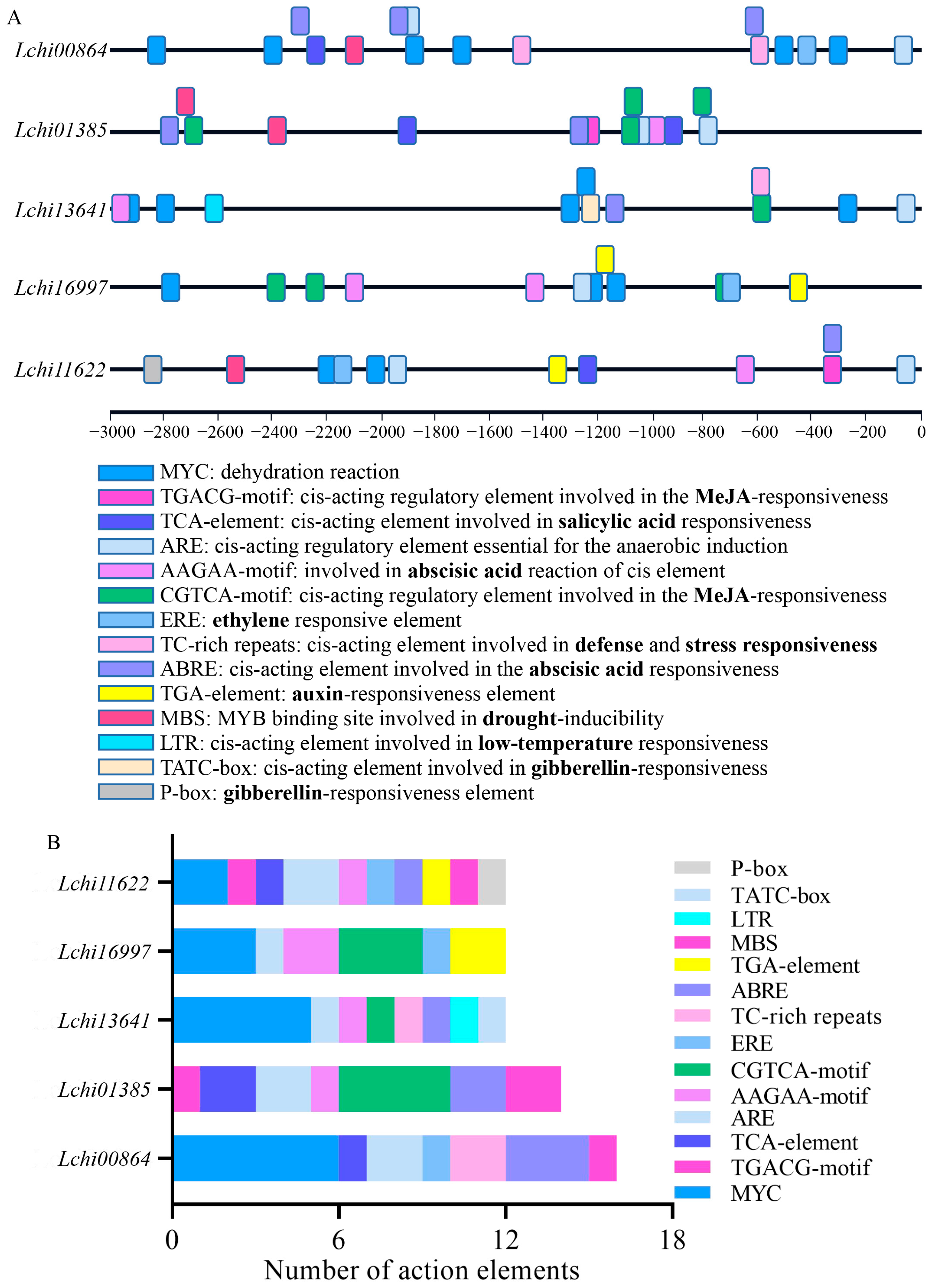 Plants 12 02609 g005