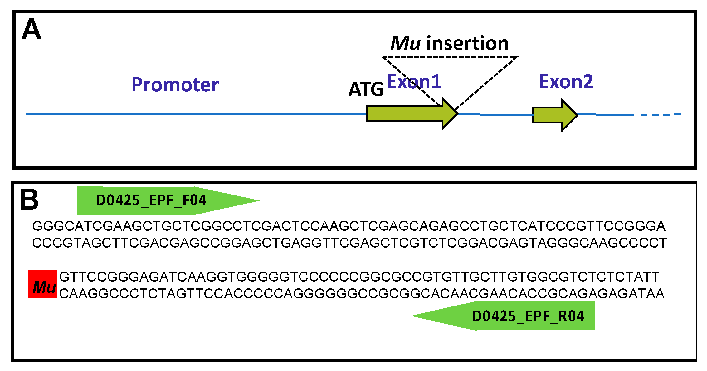 Plants 12 02612 g001 Plants 12 02612 g001