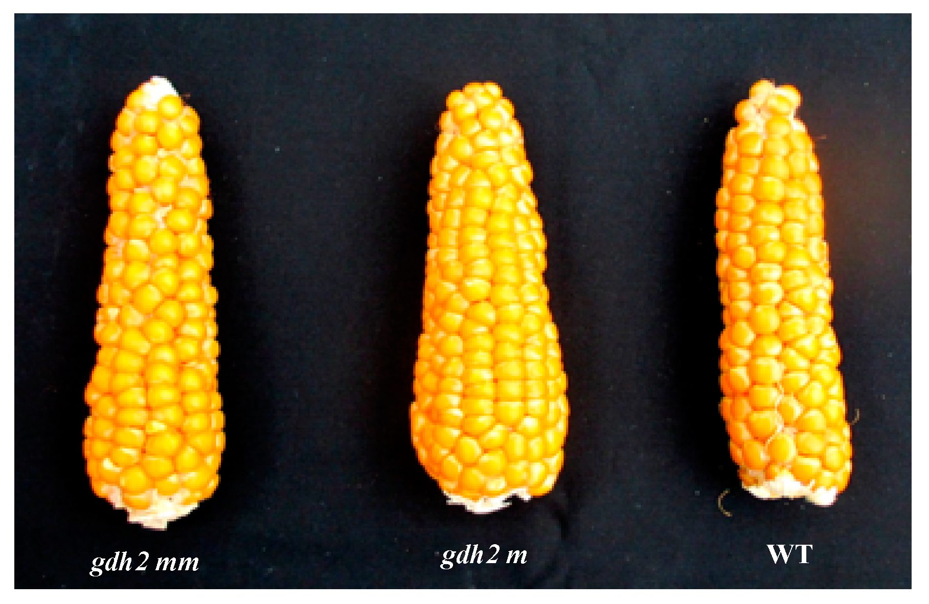 Plants 12 02612 g005 Plants 12 02612 g005