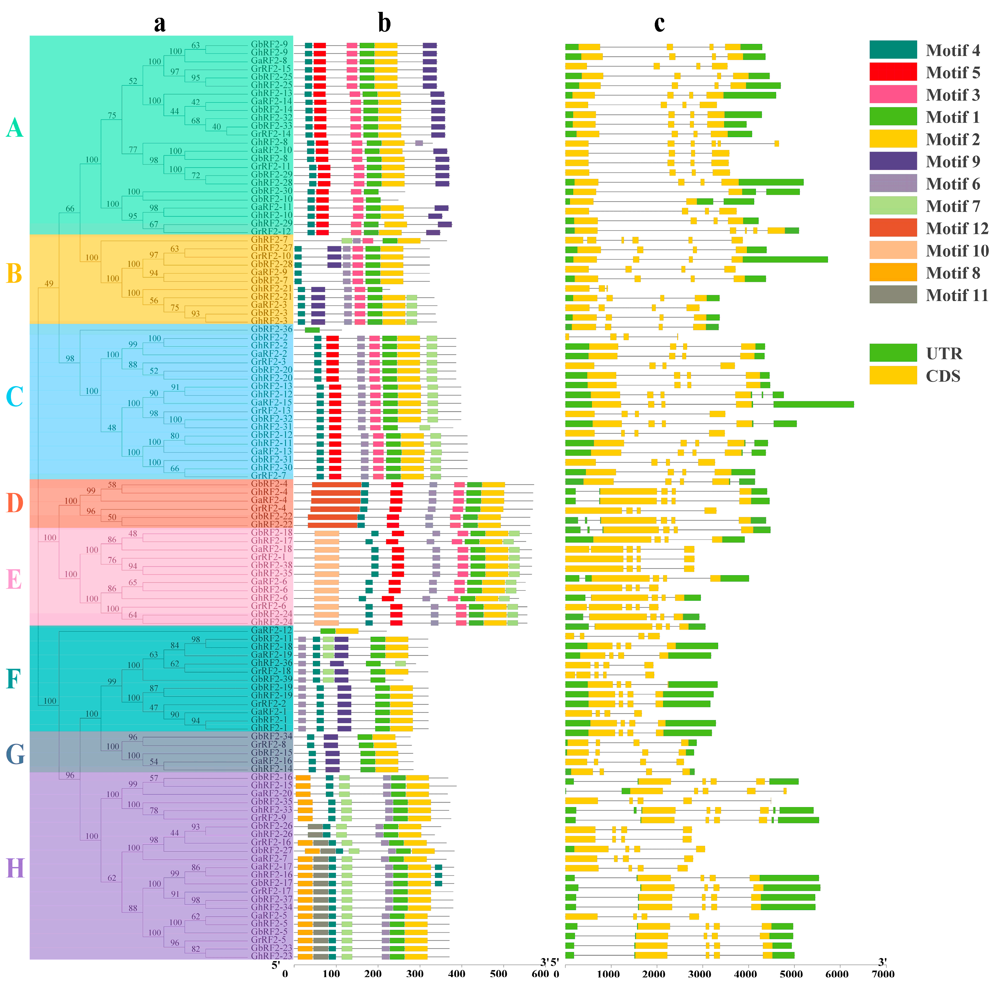 Plants 12 02613 g002 Plants 12 02613 g002