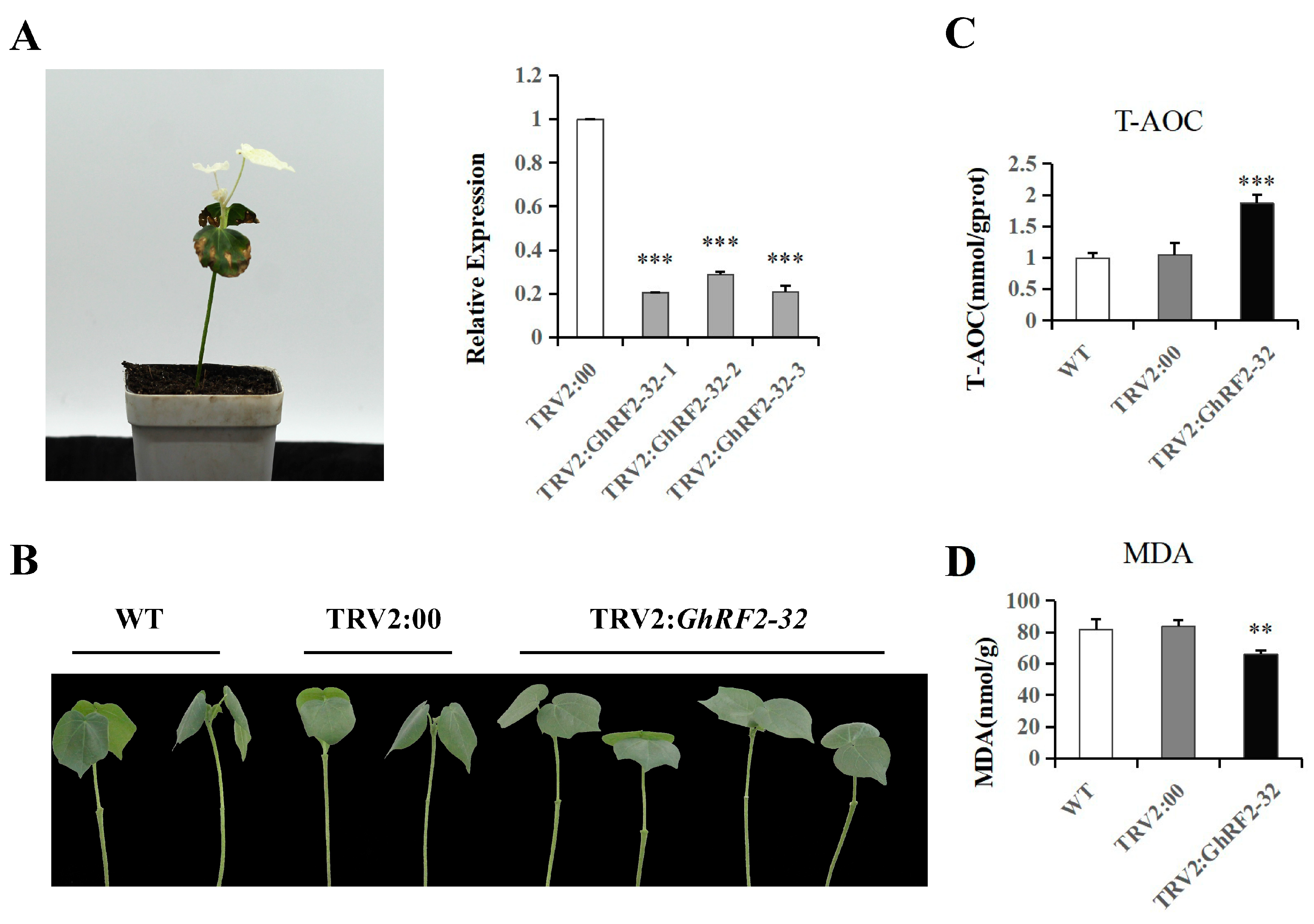 Plants 12 02613 g009 Plants 12 02613 g009