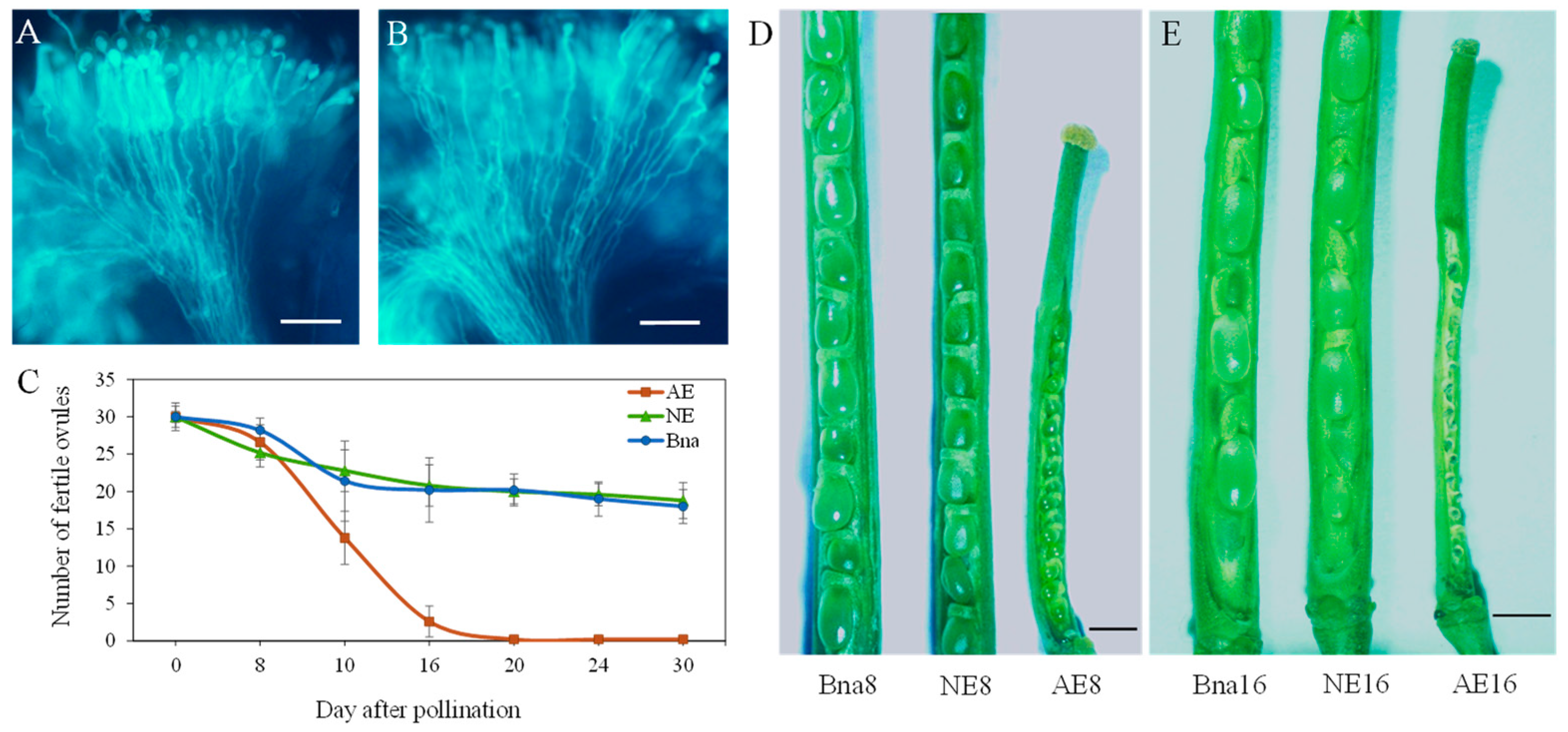 Plants 12 02622 g001