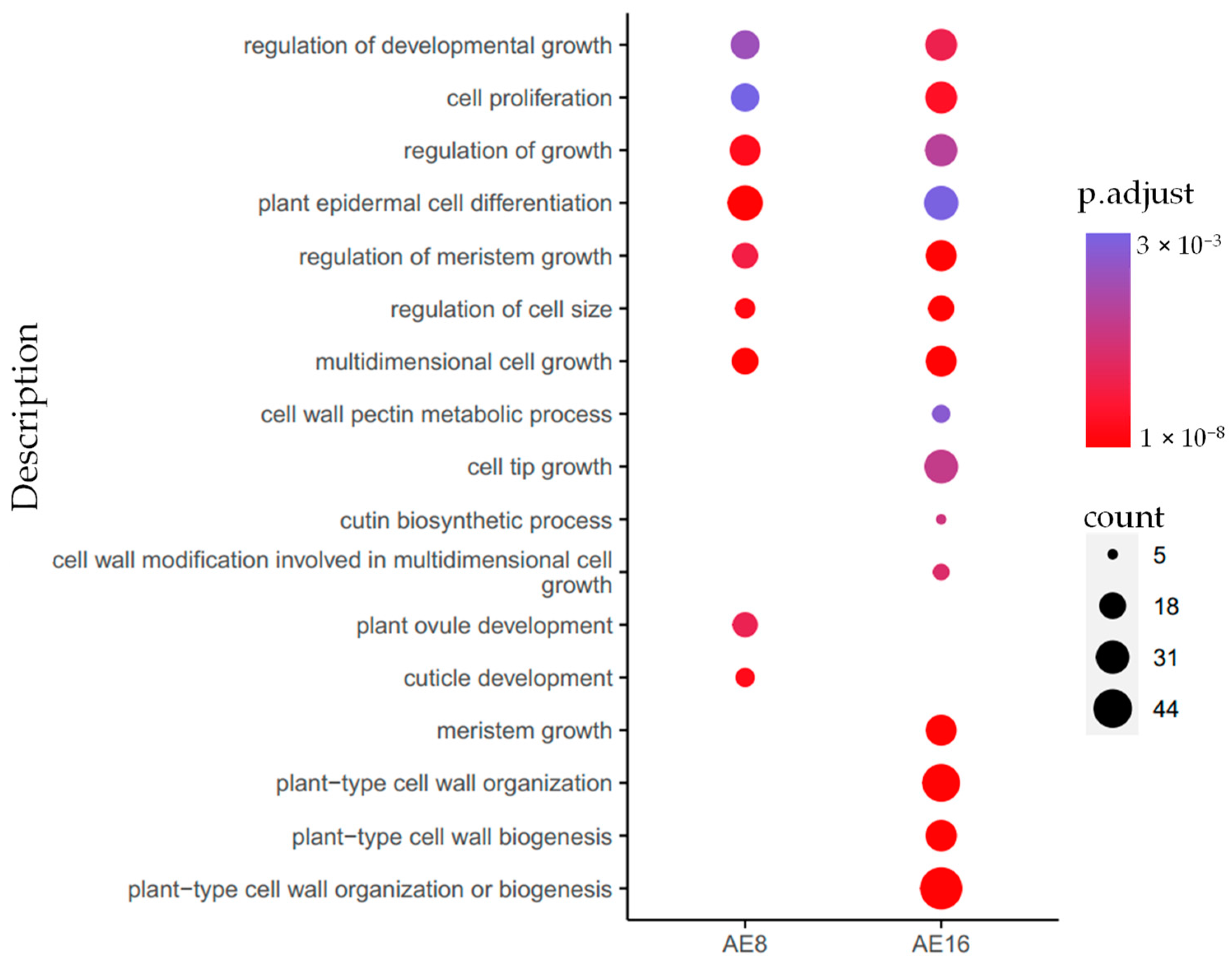 Plants 12 02622 g003