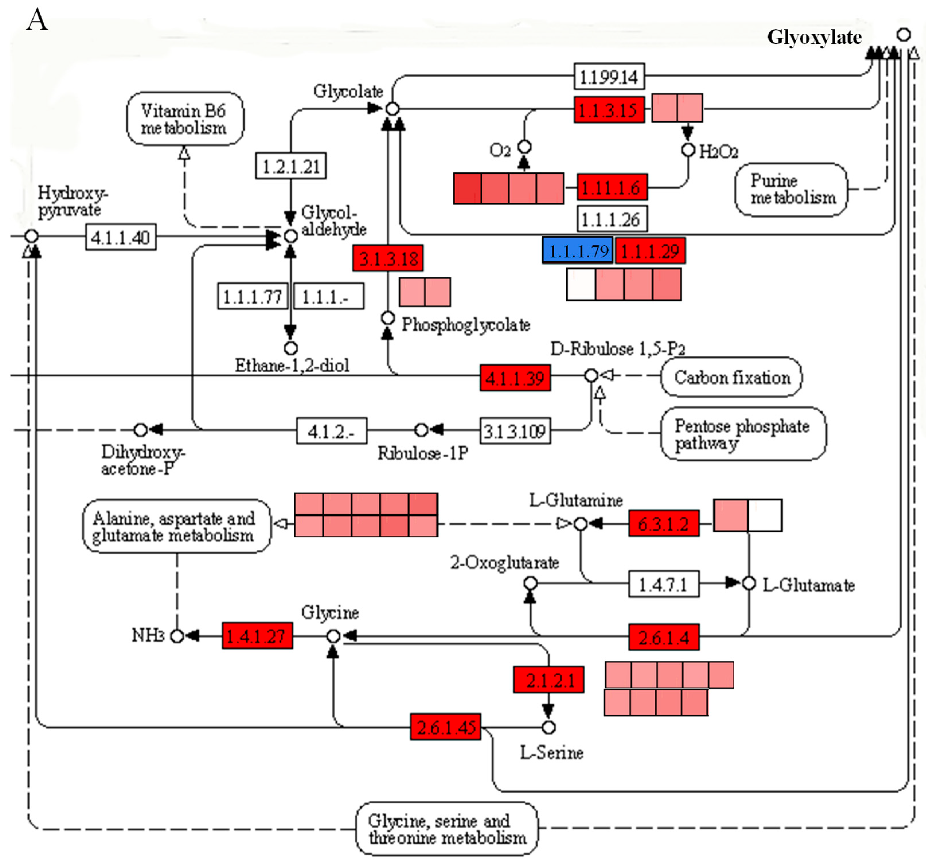 Plants 12 02622 g004a