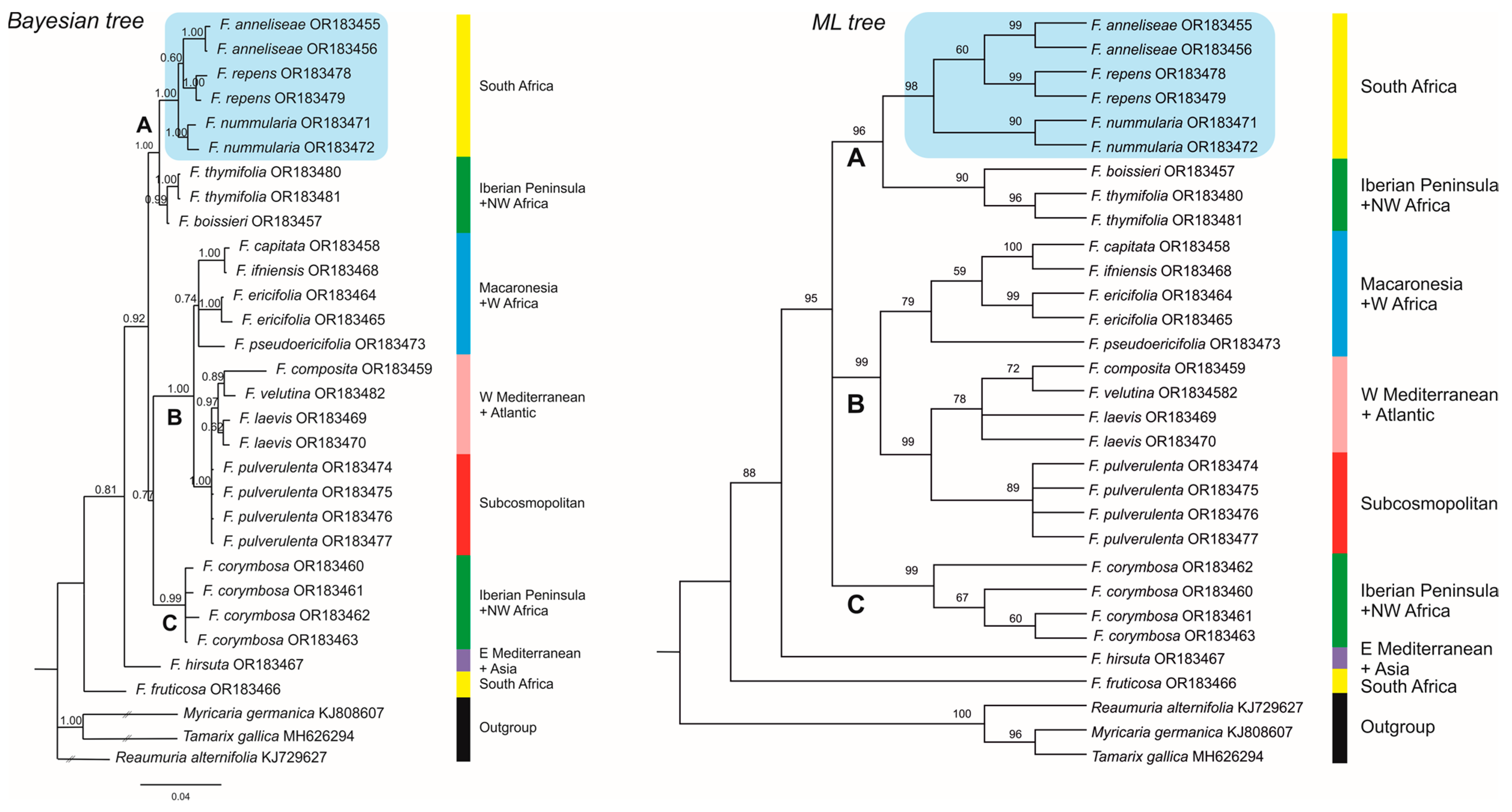 Plants 12 02630 g002 Plants 12 02630 g002