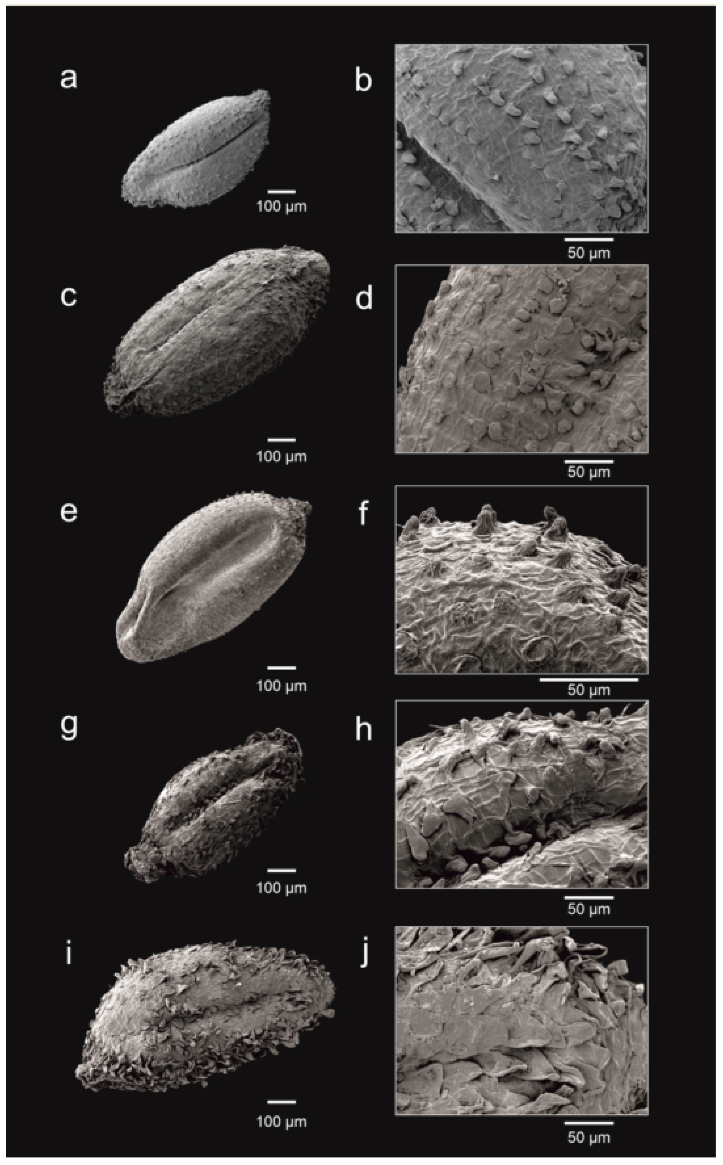 Plants 12 02630 g003 Plants 12 02630 g003