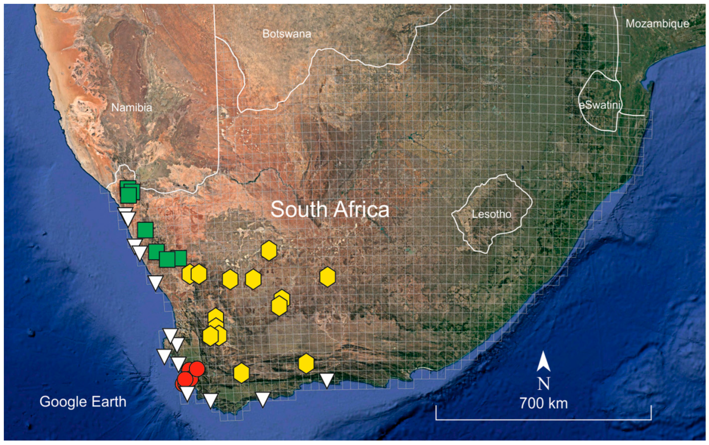 Plants 12 02630 g004 Plants 12 02630 g004