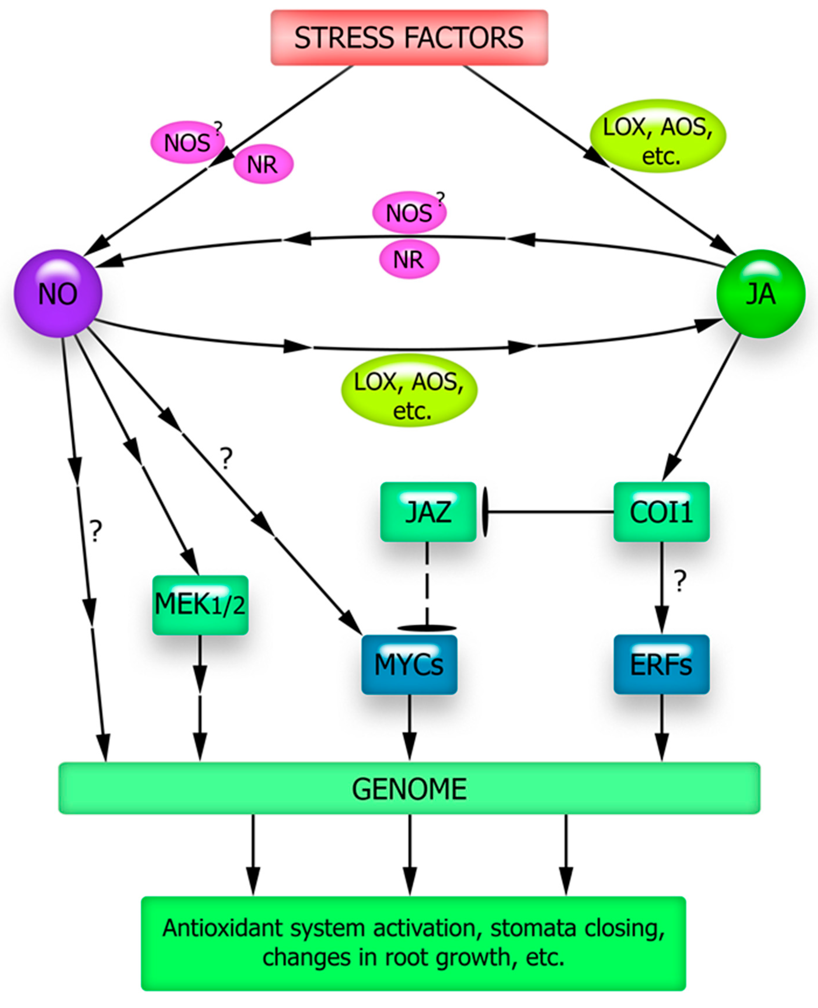 Plants 12 02631 g002 Plants 12 02631 g002