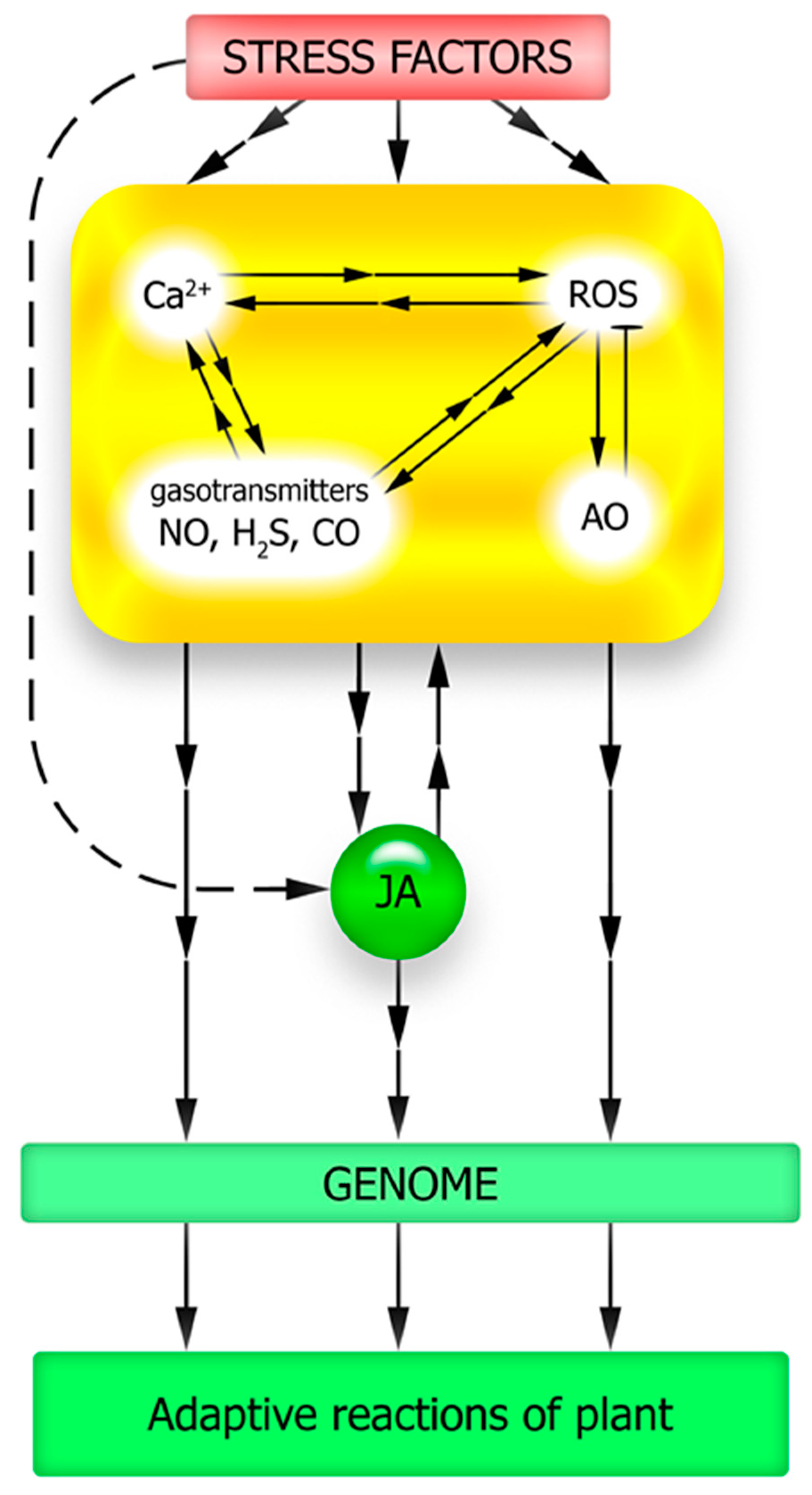 Plants 12 02631 g005 Plants 12 02631 g005