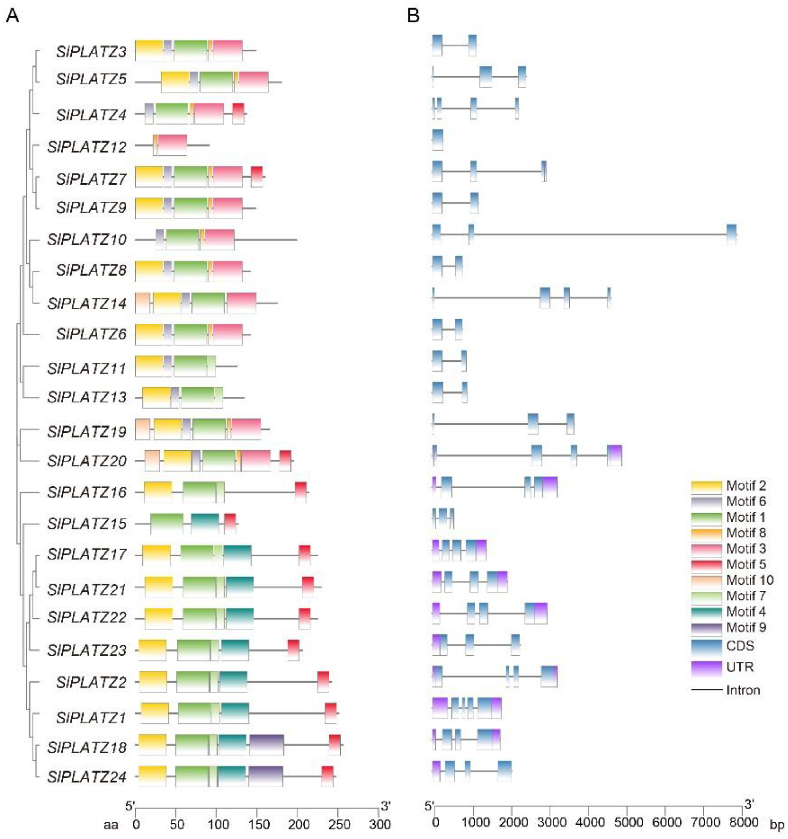 Plants 12 02632 g002 Plants 12 02632 g002