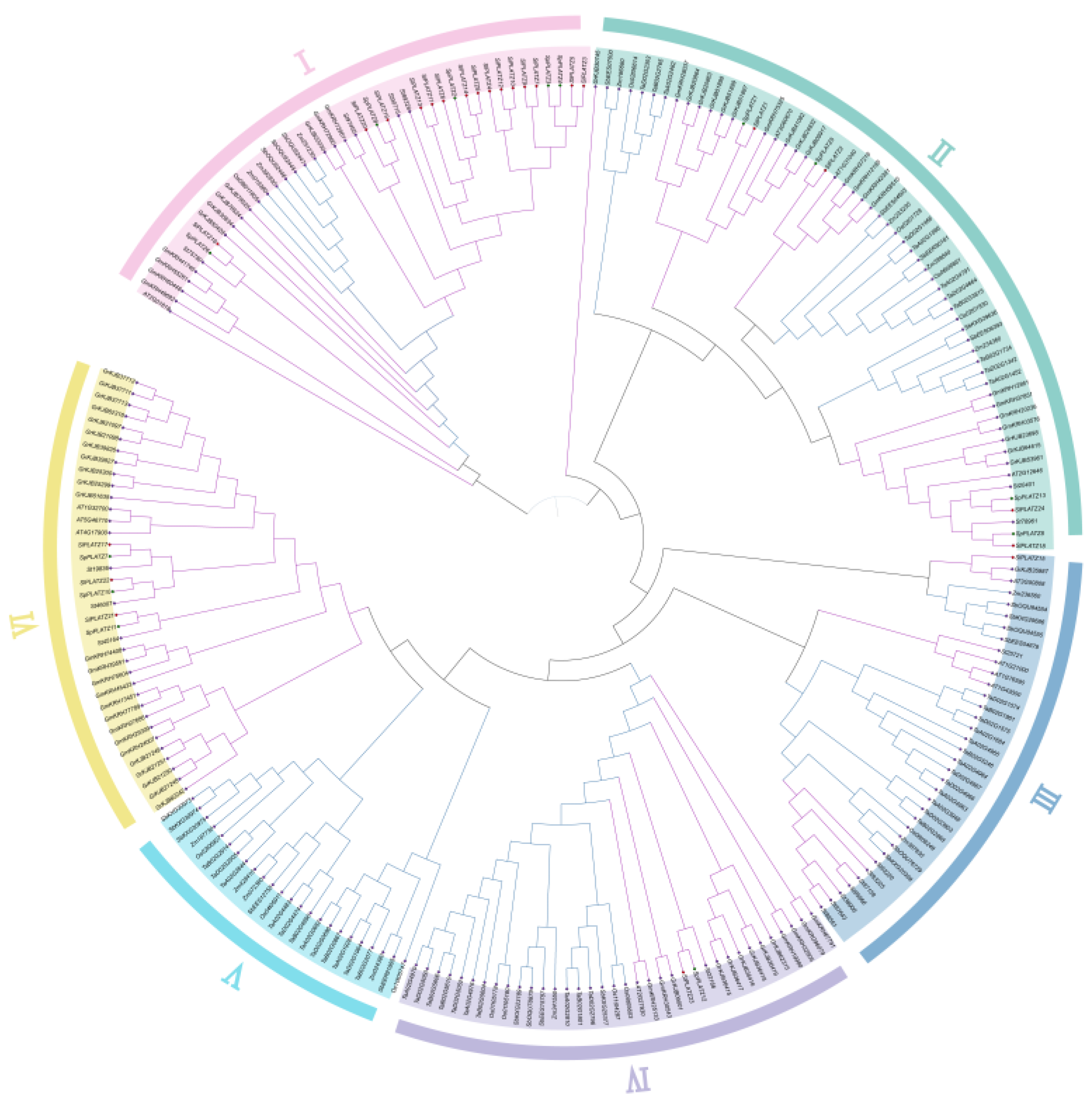 Plants 12 02632 g003 Plants 12 02632 g003