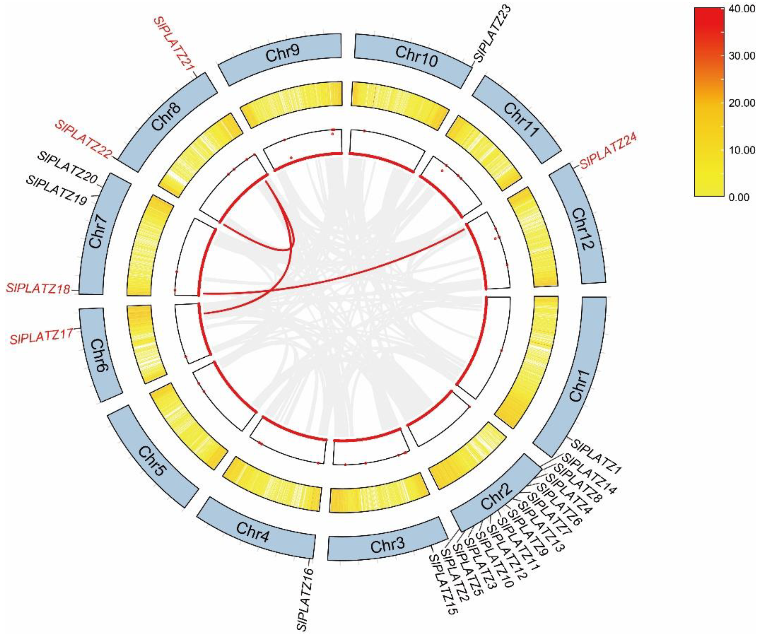Plants 12 02632 g004 Plants 12 02632 g004