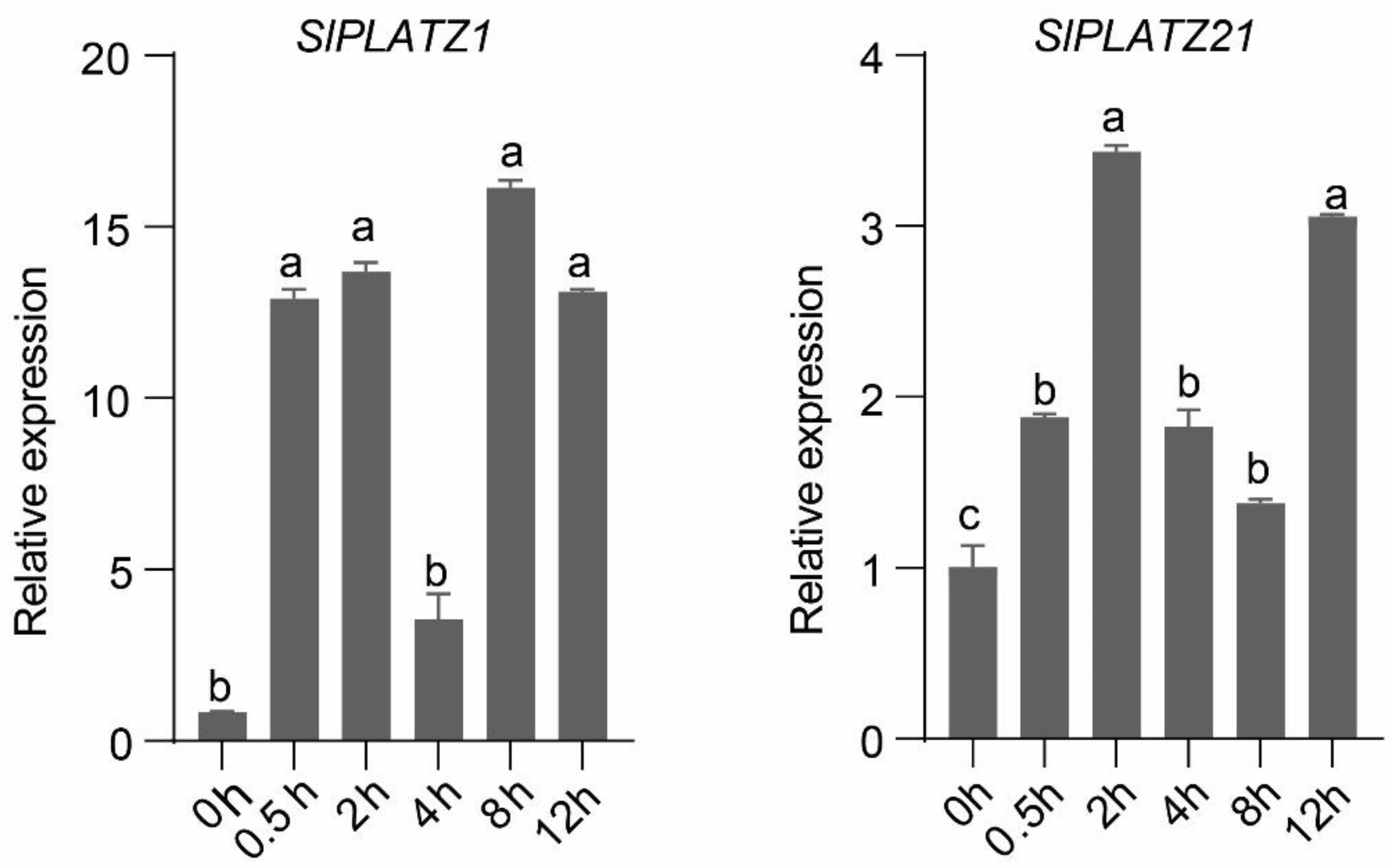 Plants 12 02632 g011 Plants 12 02632 g011
