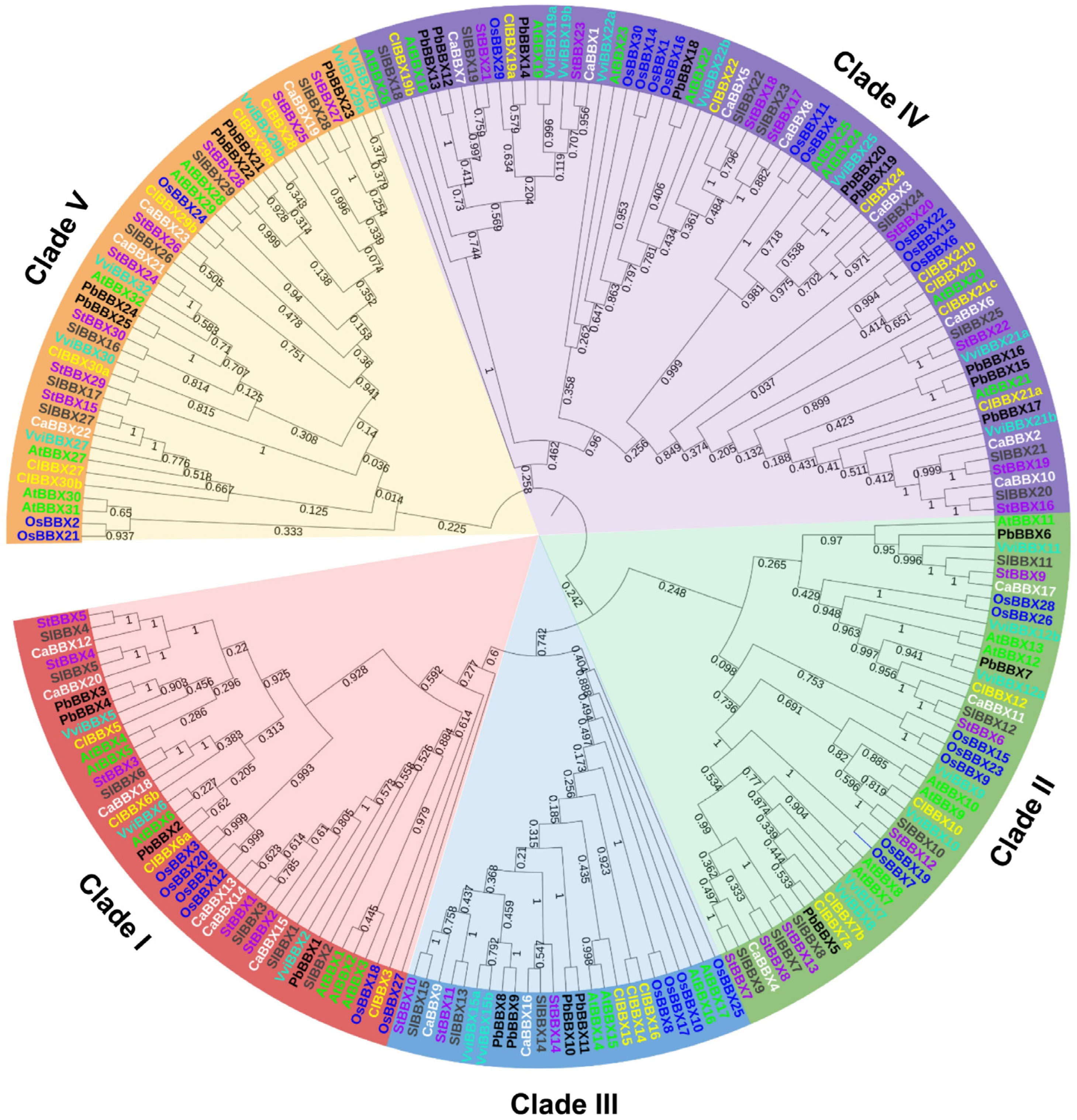 Plants 12 02634 g002