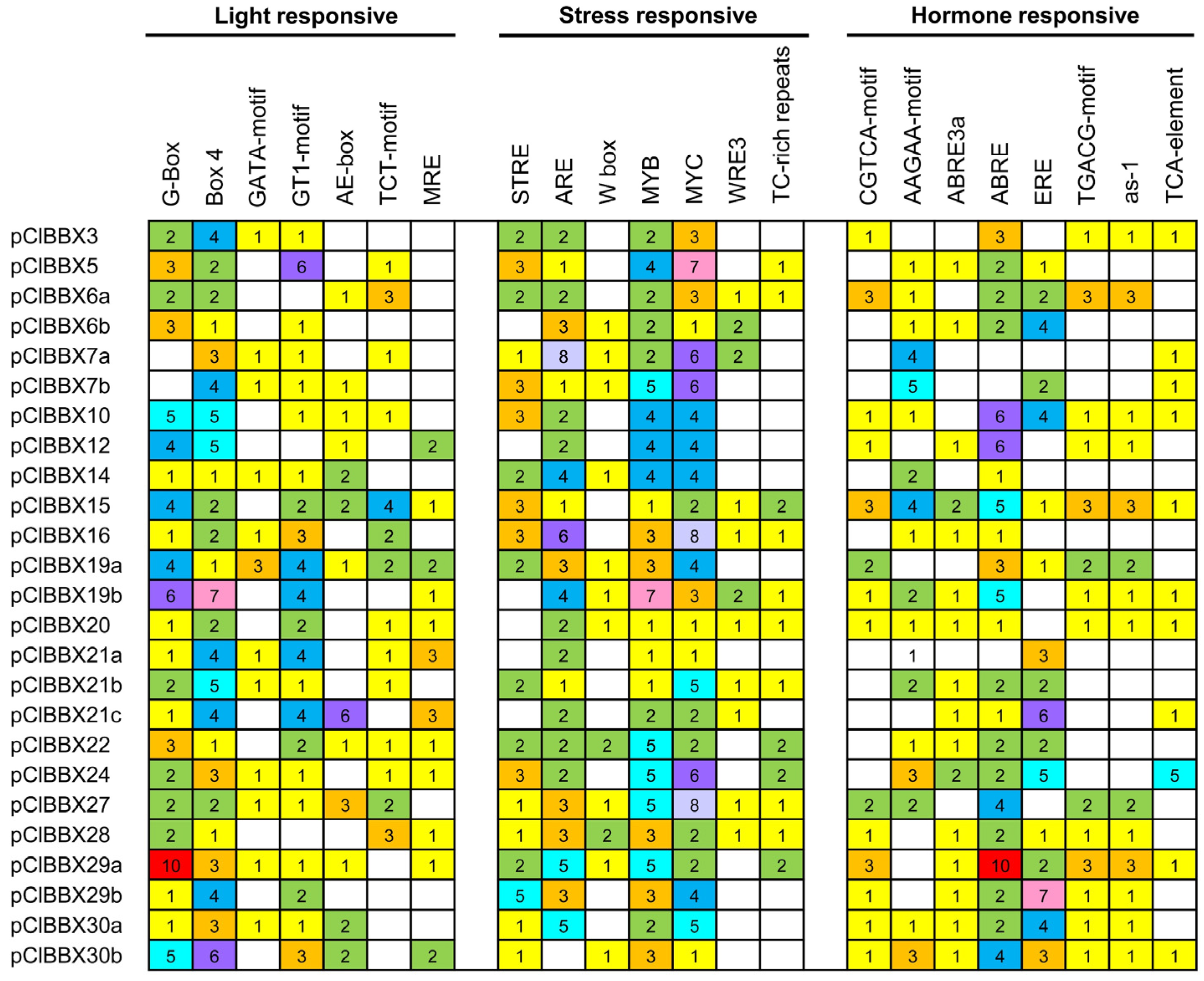 Plants 12 02634 g004
