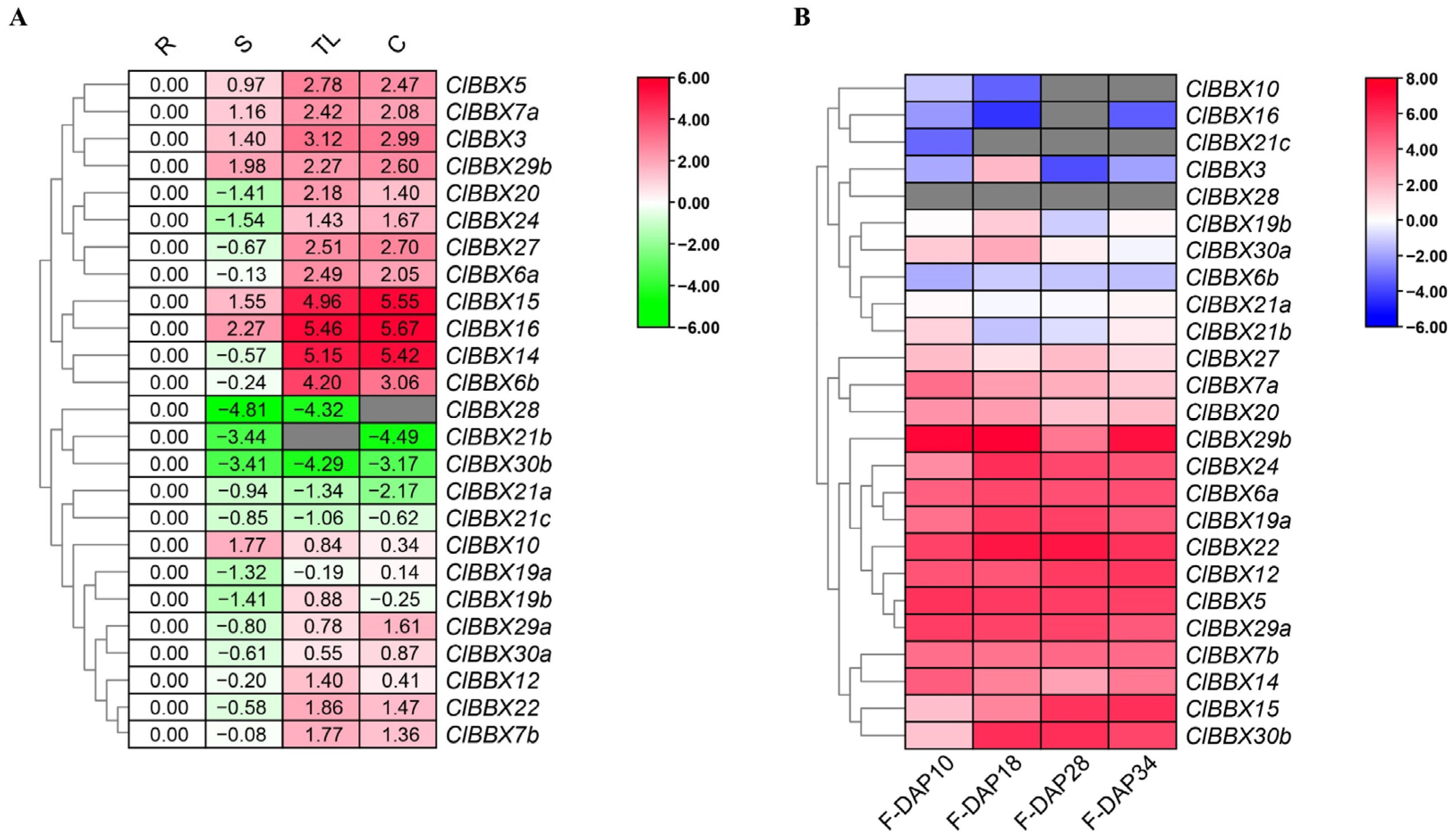 Plants 12 02634 g005