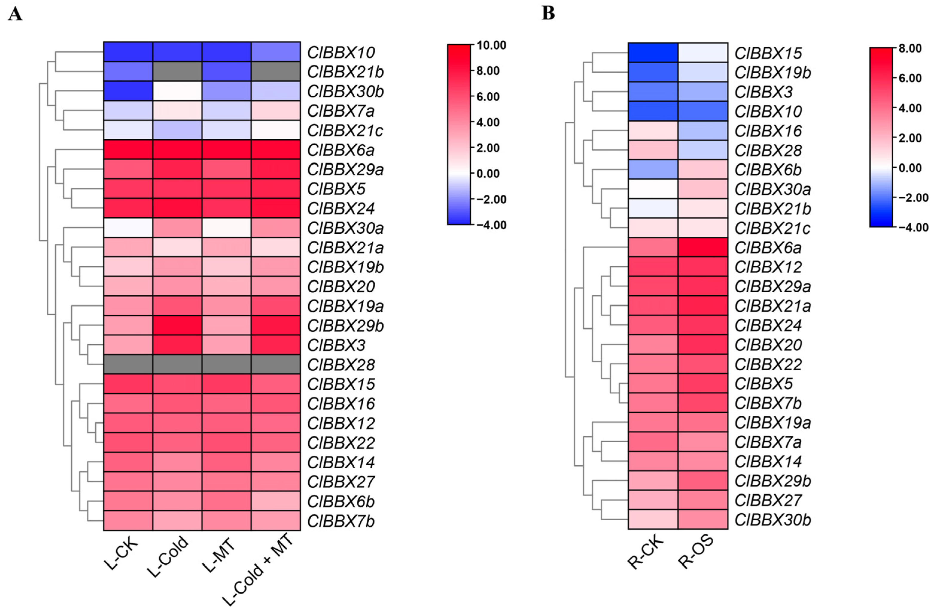 Plants 12 02634 g007