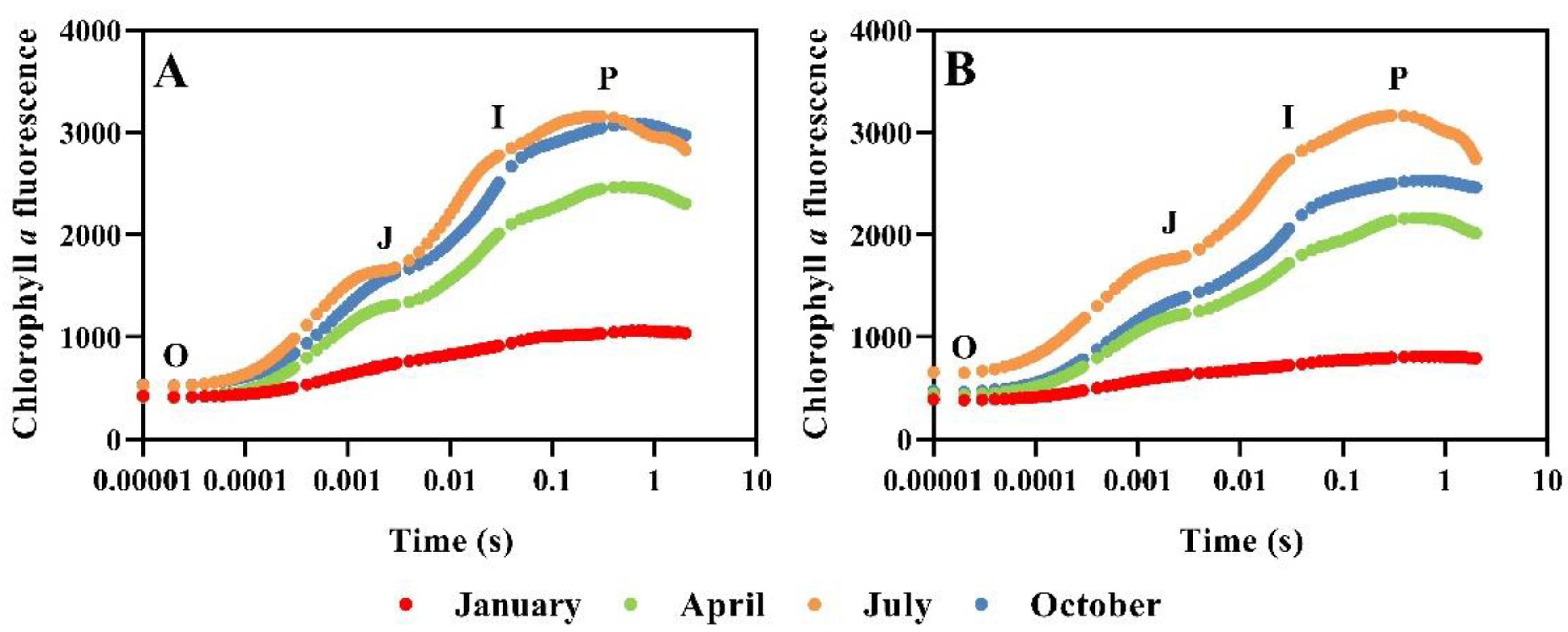 Plants 12 02636 g002 Plants 12 02636 g002
