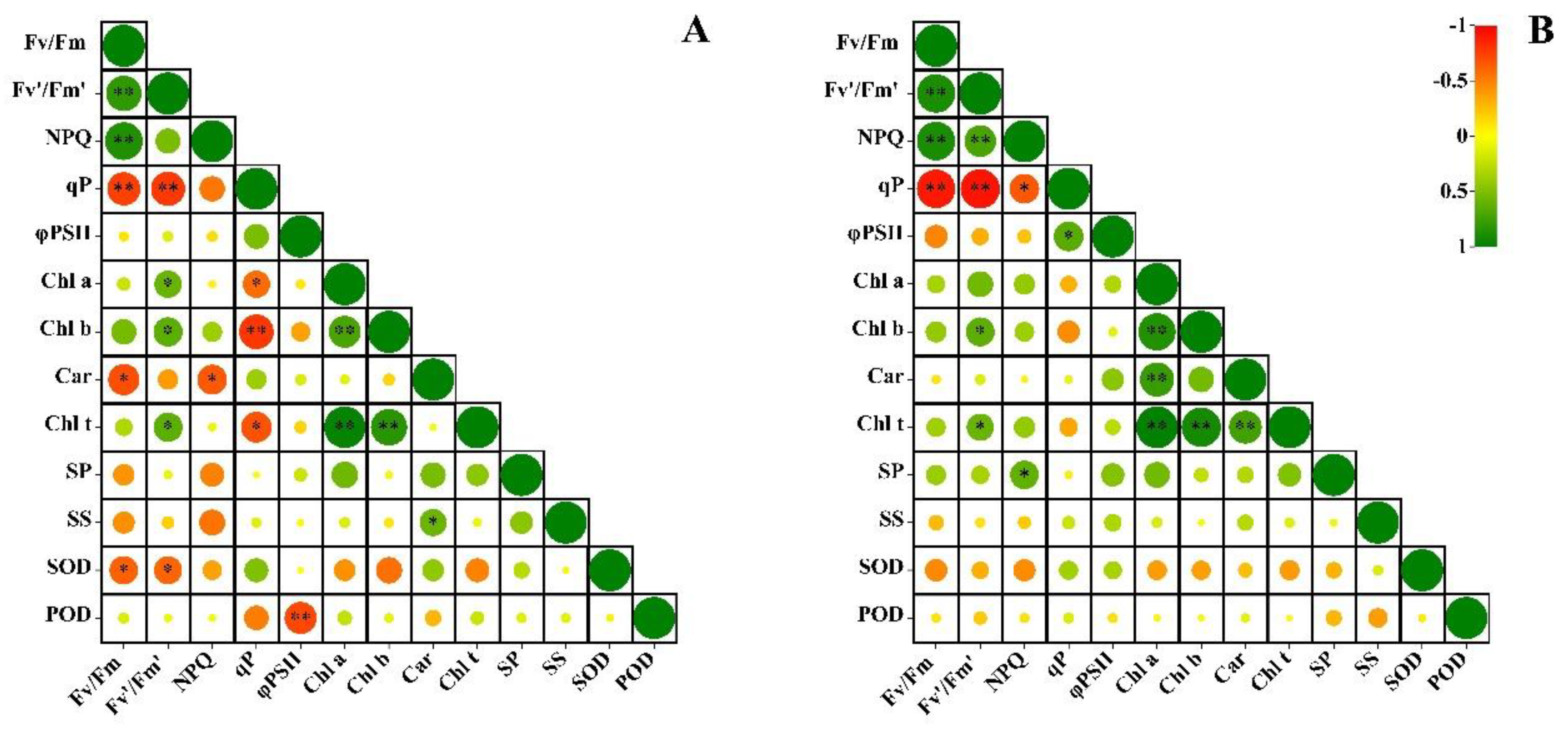Plants 12 02636 g007 Plants 12 02636 g007