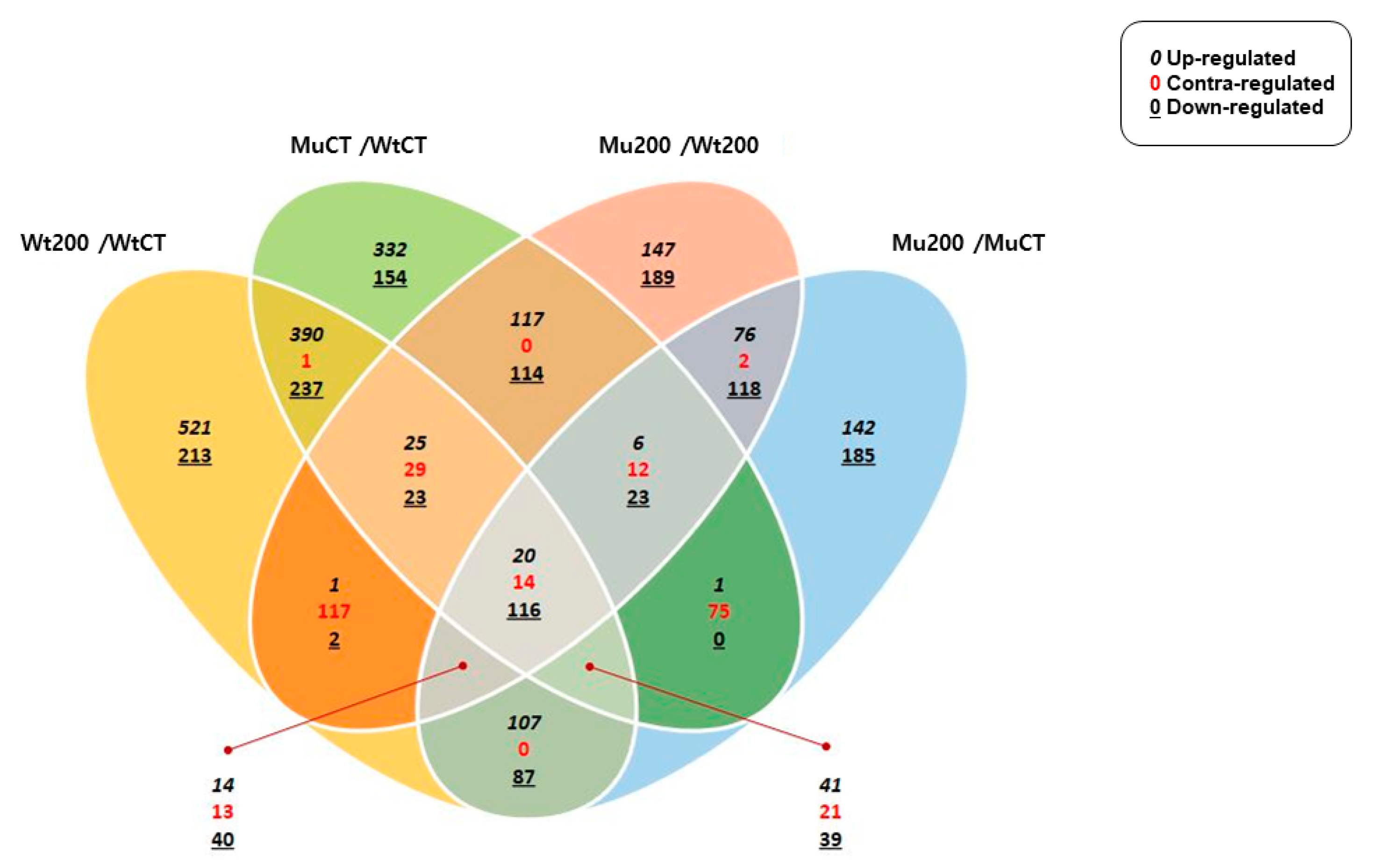 Plants 12 02639 g002