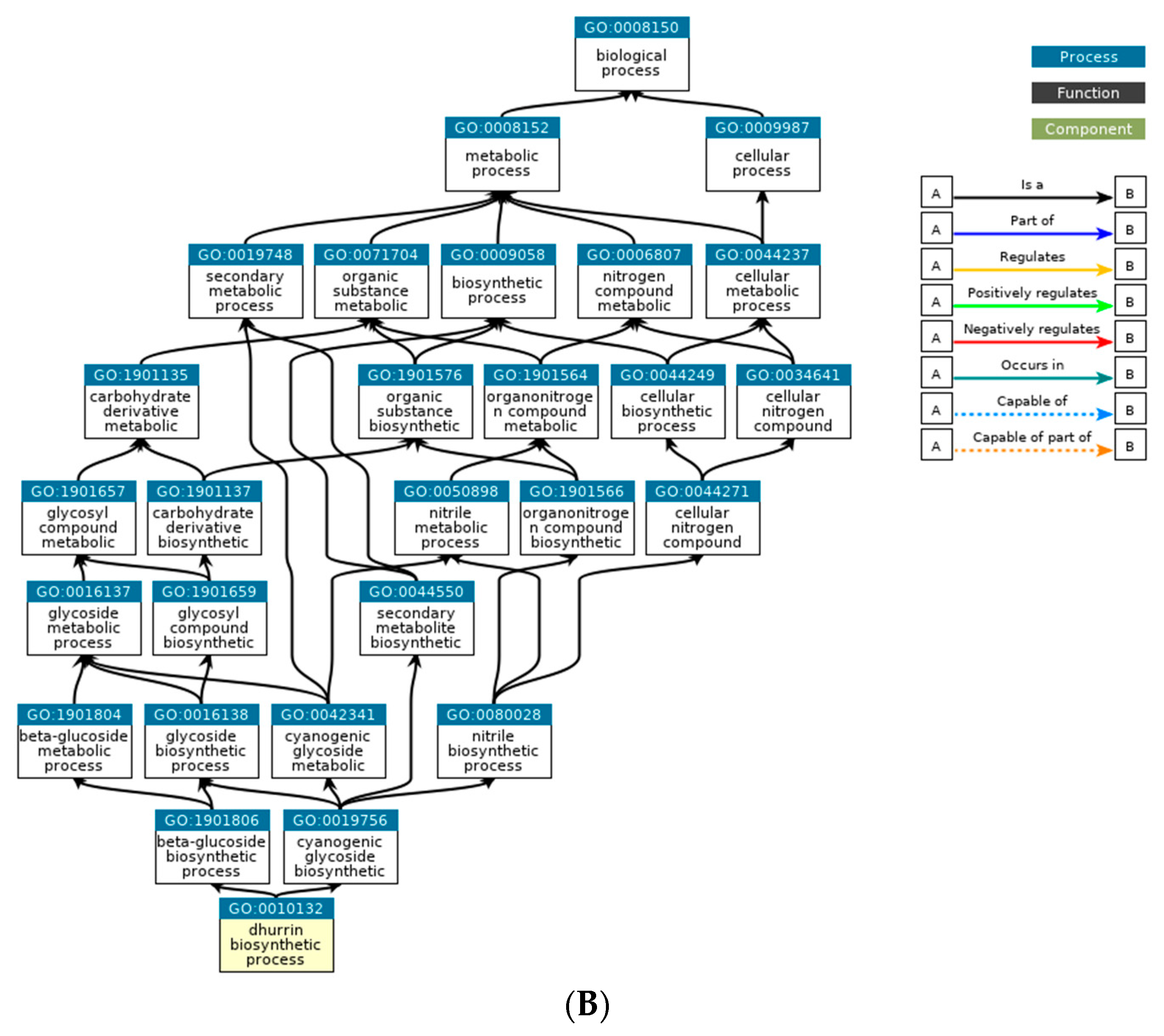 Plants 12 02639 g005b